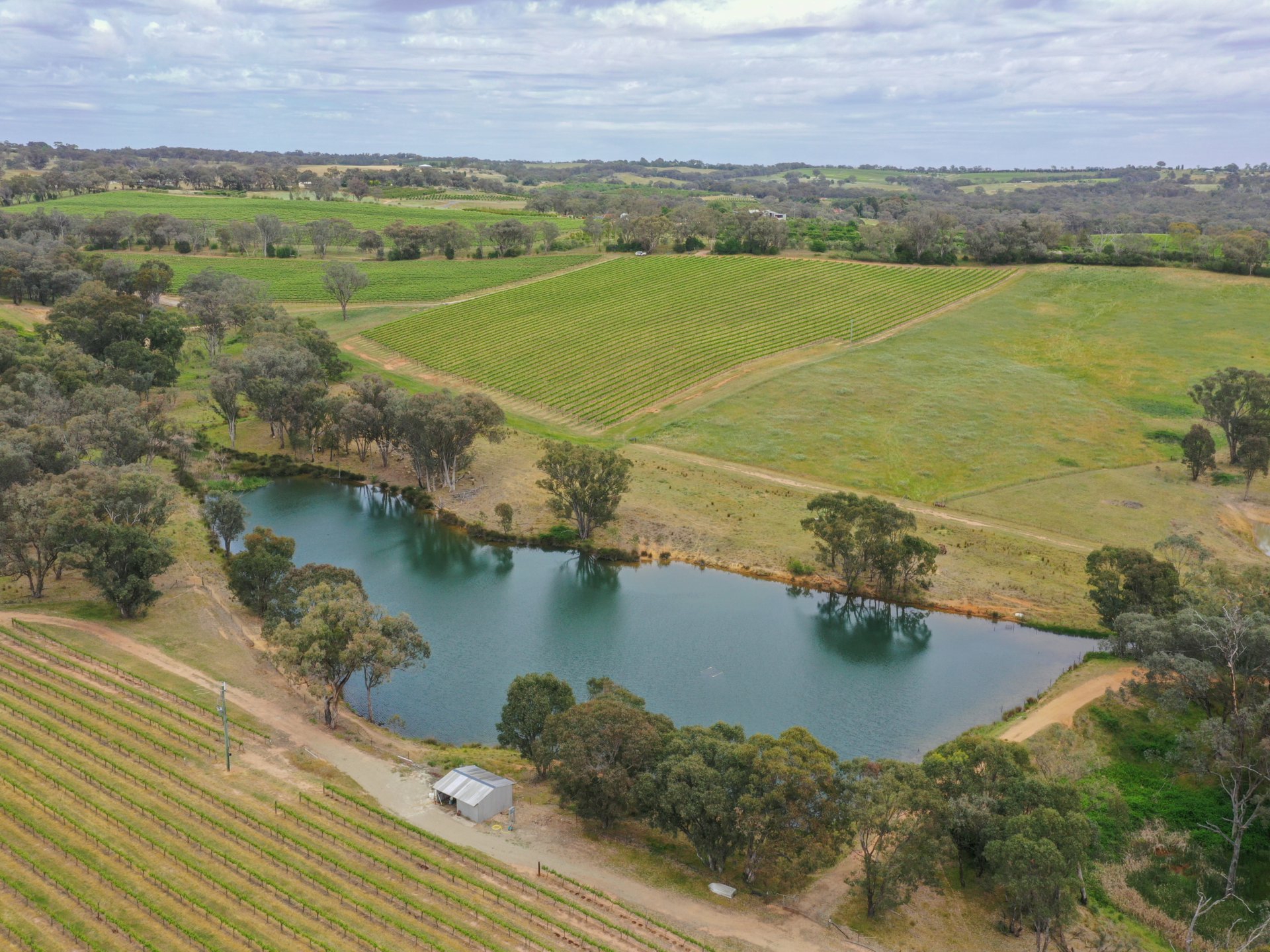 155 Tierneys Road, Young