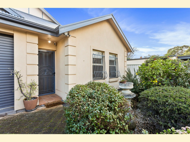 1 Waymouth Avenue, Glandore, Glandore
