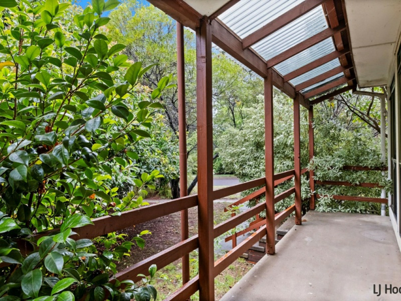6 Cassinia Street, O'Connor