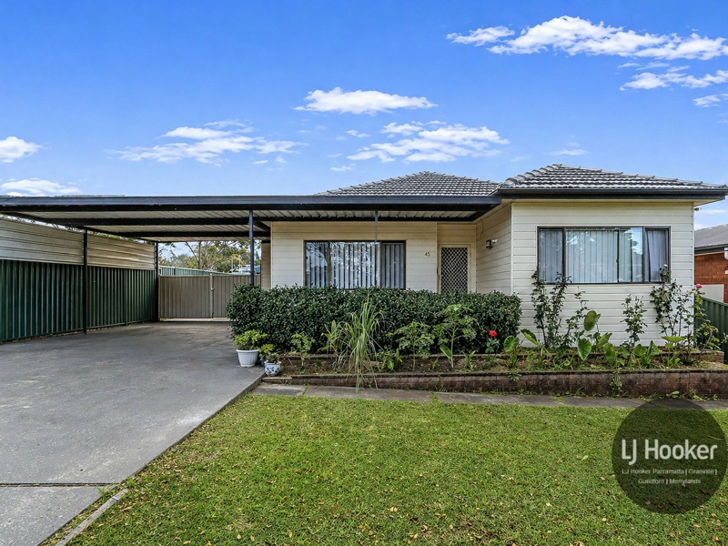 45 Edna Avenue, Merrylands, Merrylands