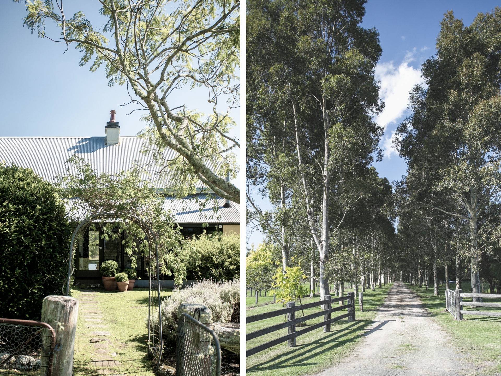 121 Evans Lane Milton NSW Property Details LJ Hooker