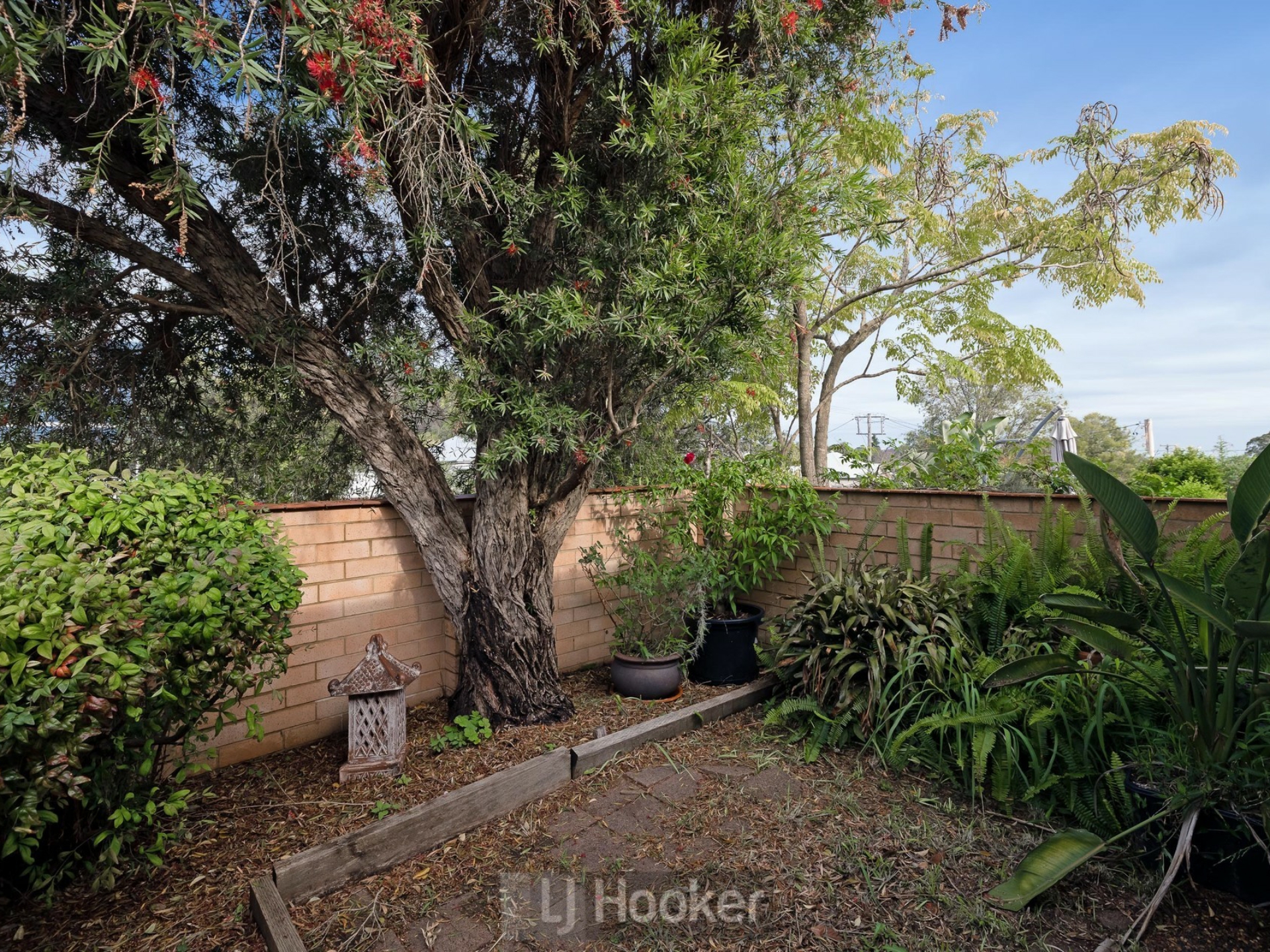 3/7 Albert Street Speers Point NSW Property Details LJ Hooker