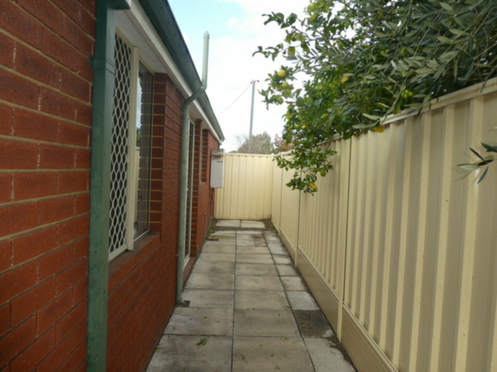 21 Wilfred Road, THORNLIE