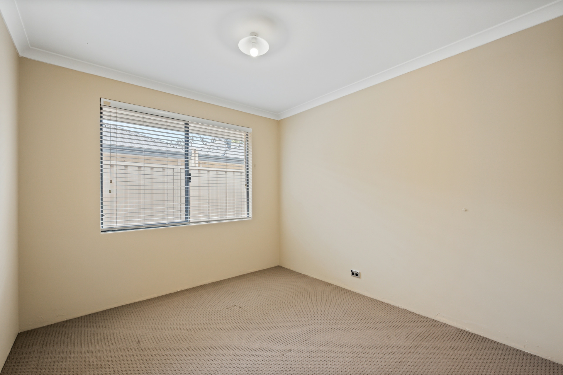 3/37 Beckenham Street — photo 14 of 24