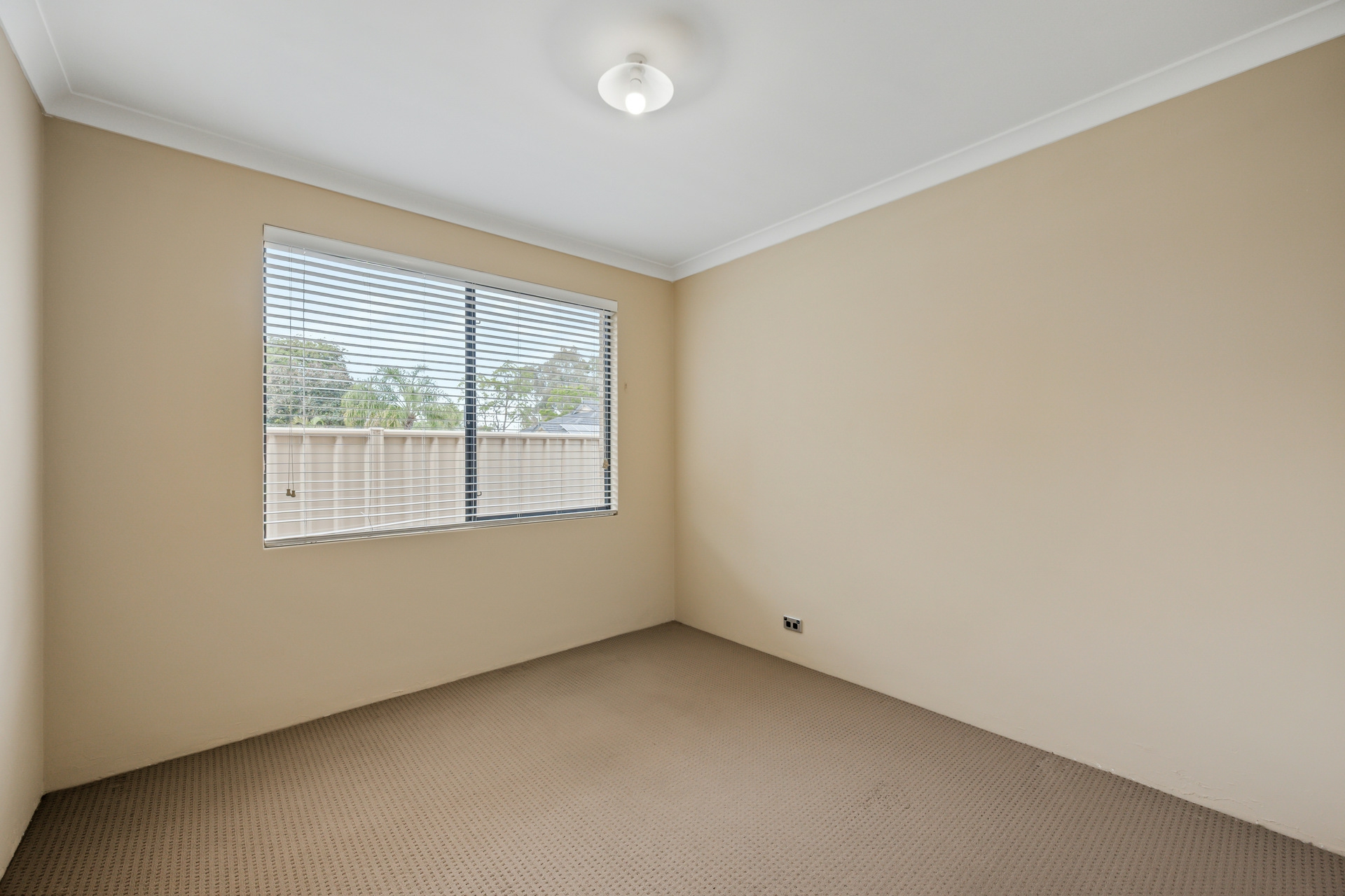 3/37 Beckenham Street — photo 16 of 24