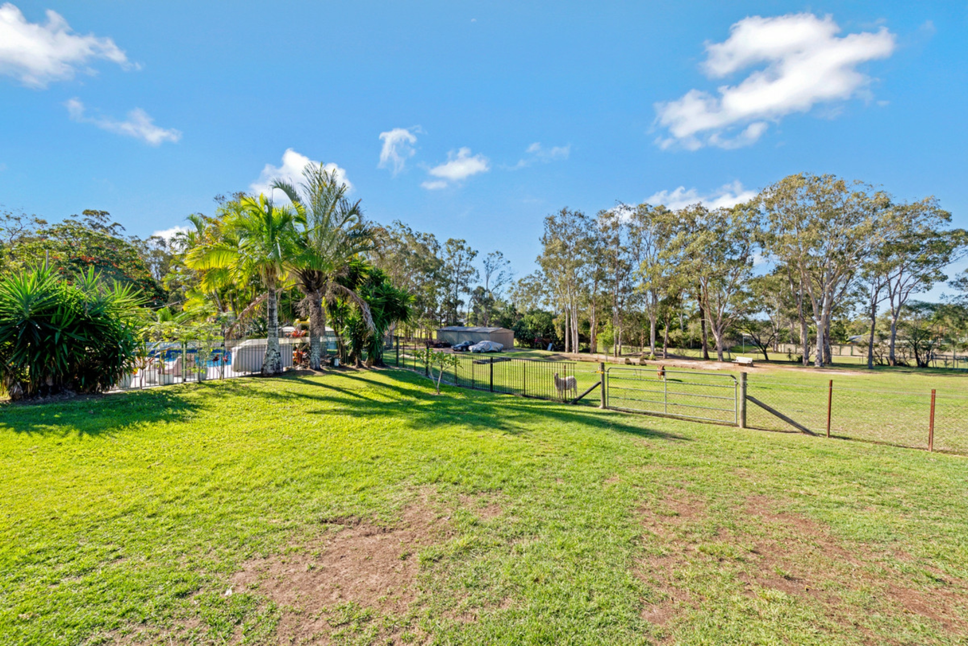41 Winfield Road, ORMEAU