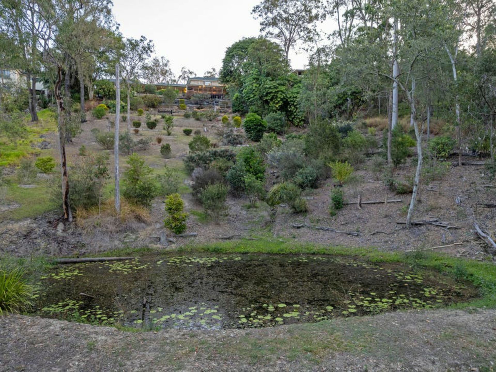 27 Oppermann Drive Ormeau QLD House for Sale LJ Hooker