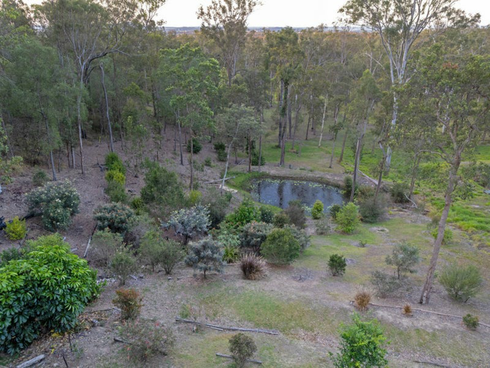 27 Oppermann Drive Ormeau QLD House for Sale LJ Hooker