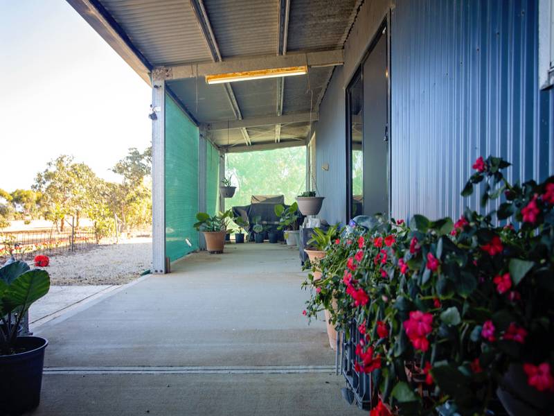 52 Verrucosa Parade, HOPETOUN