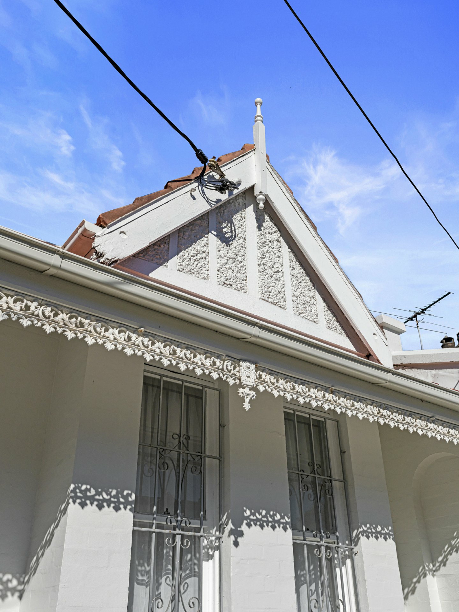 16 Alice Street, NEWTOWN