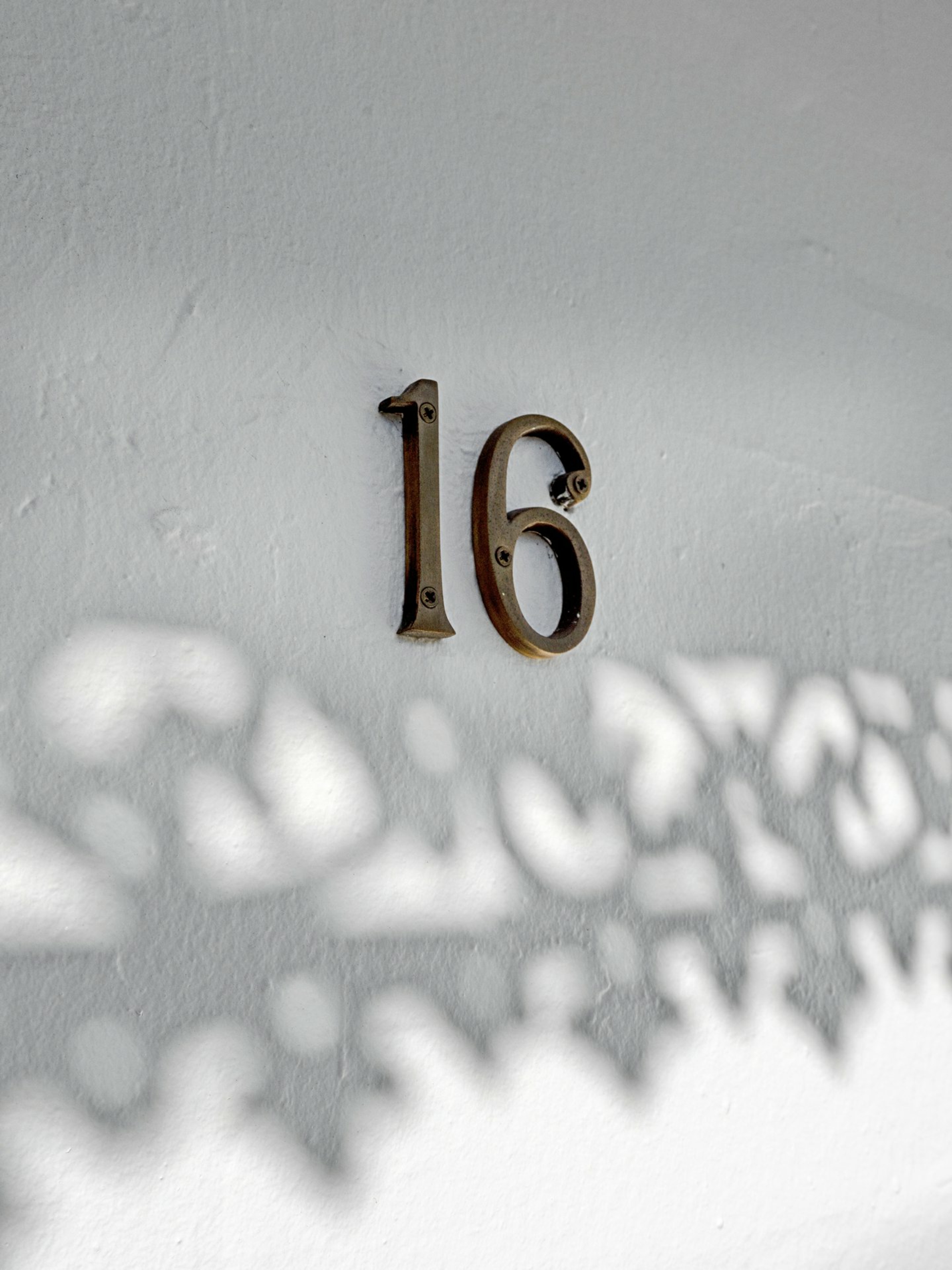 16 Alice Street, NEWTOWN