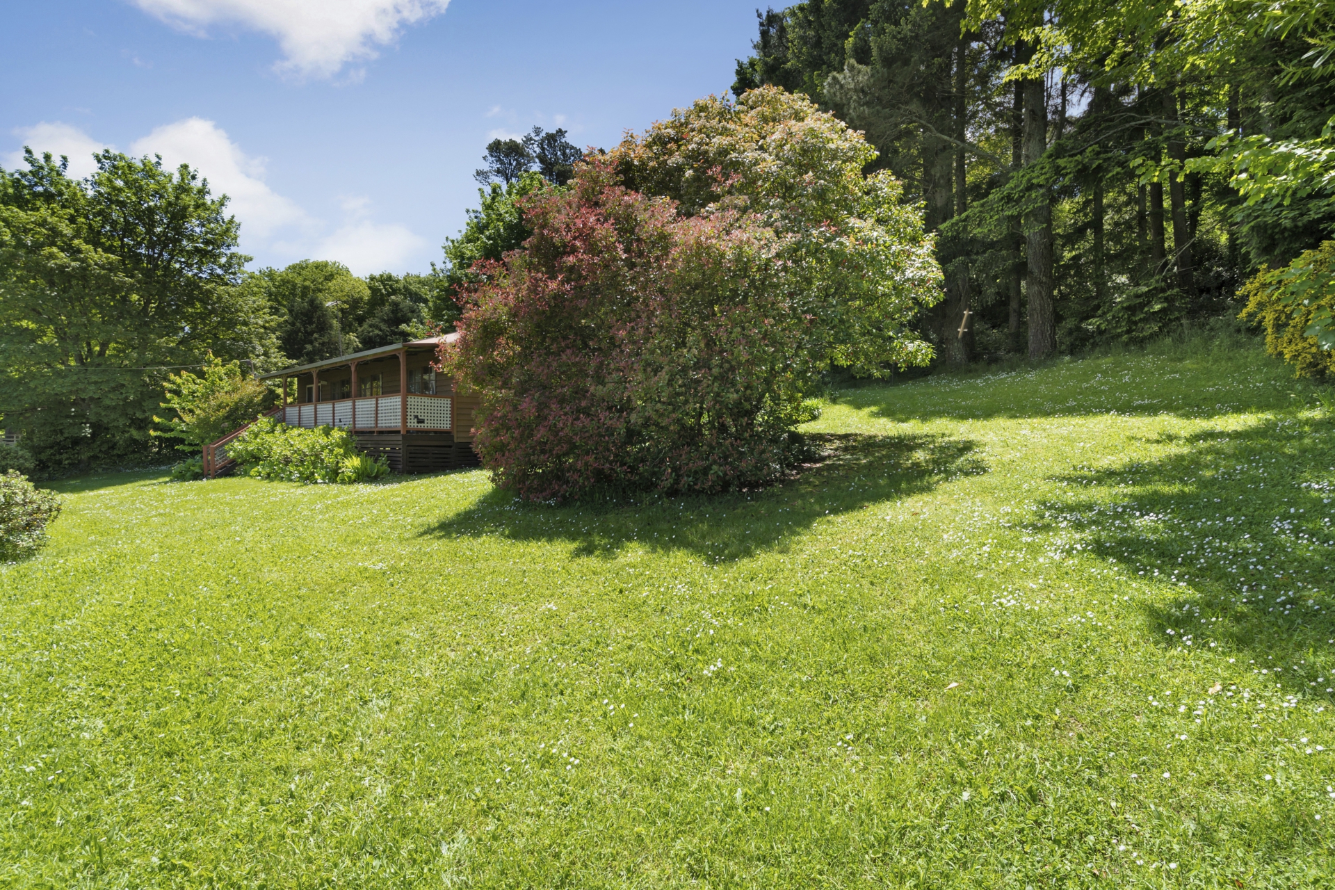 19 Central Springs Road, DAYLESFORD