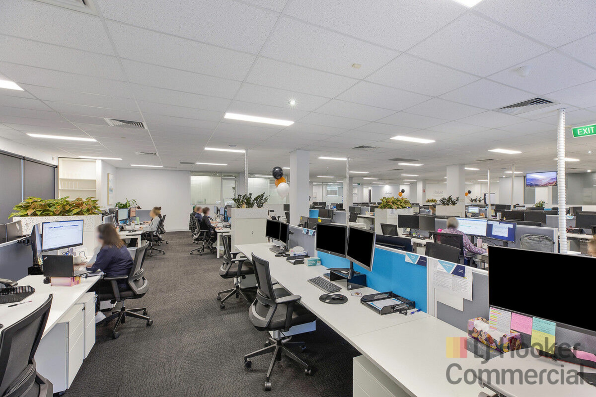 1/2a Bounty Close, TUGGERAH