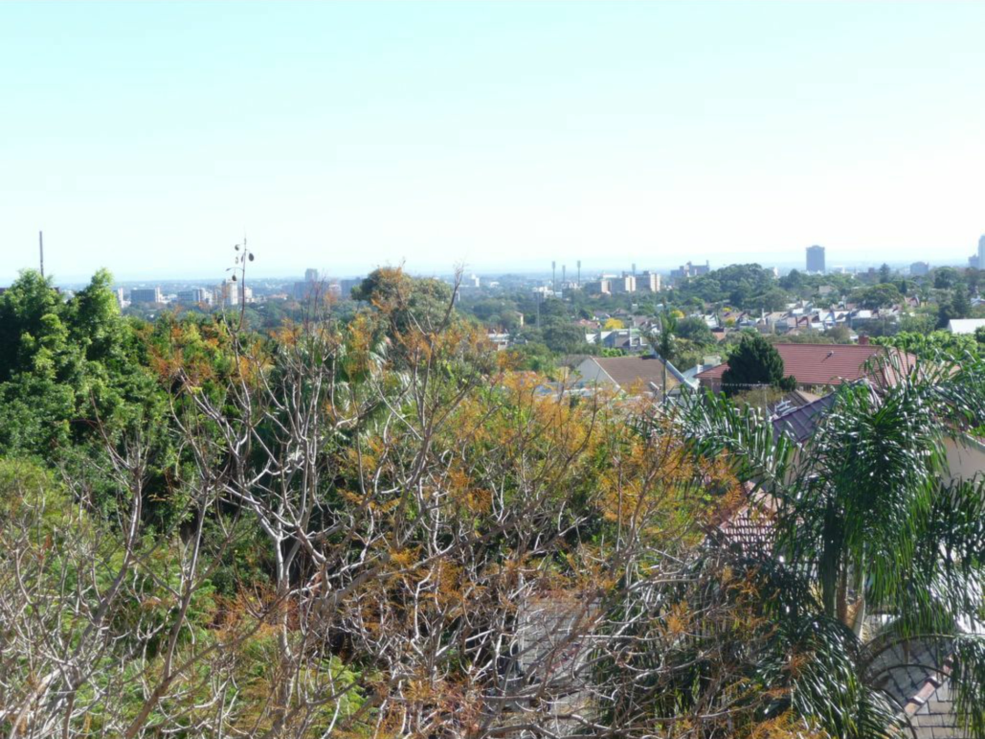 12/12 Porter Street, BONDI JUNCTION