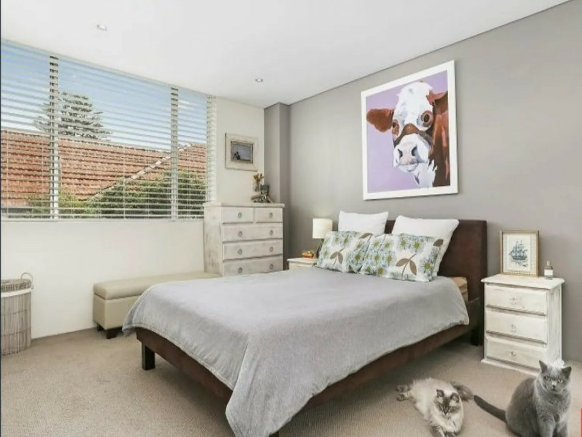 19/5-7 MacPherson Street, WAVERLEY