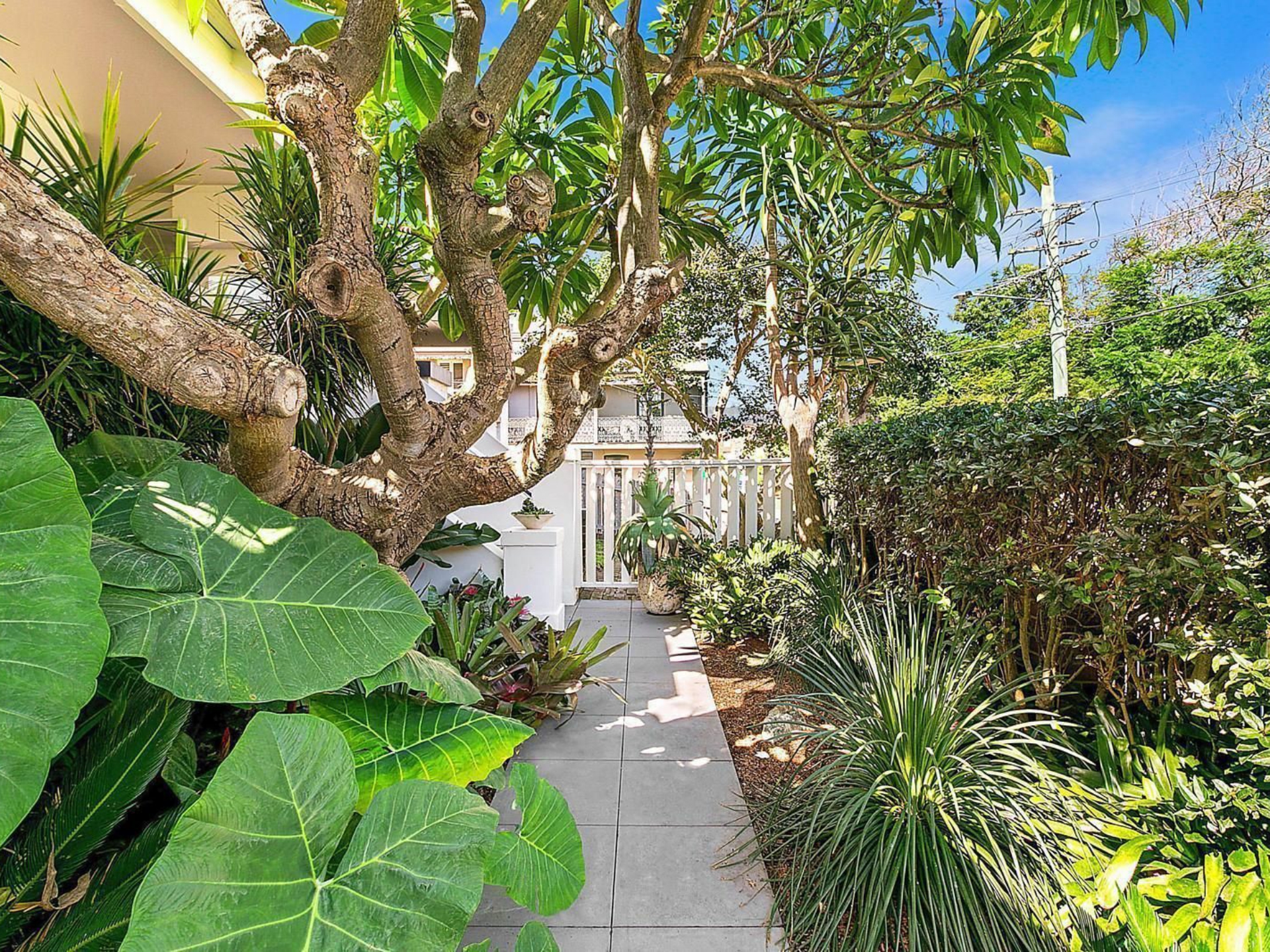 7 Waverley Street, RANDWICK