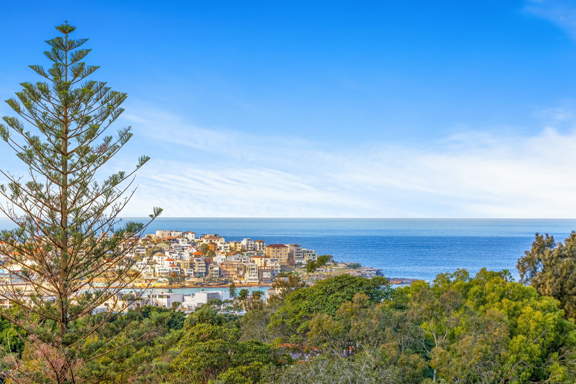 27 Wellington Street, Bondi