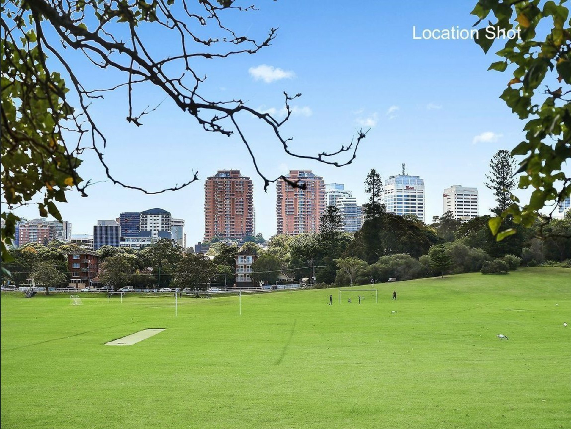 12/19 Pine Street, RANDWICK