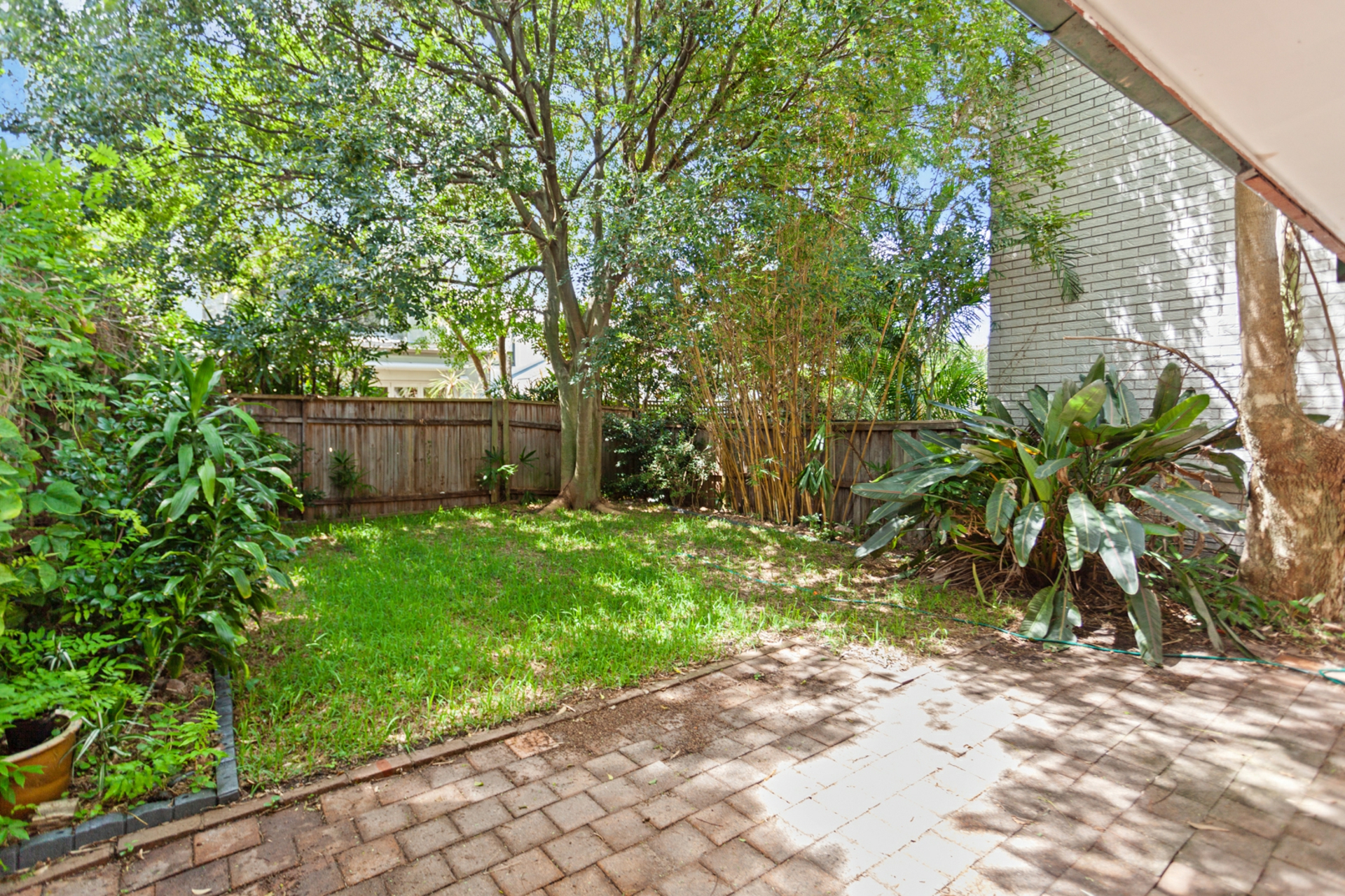 72 St James Road, BONDI JUNCTION