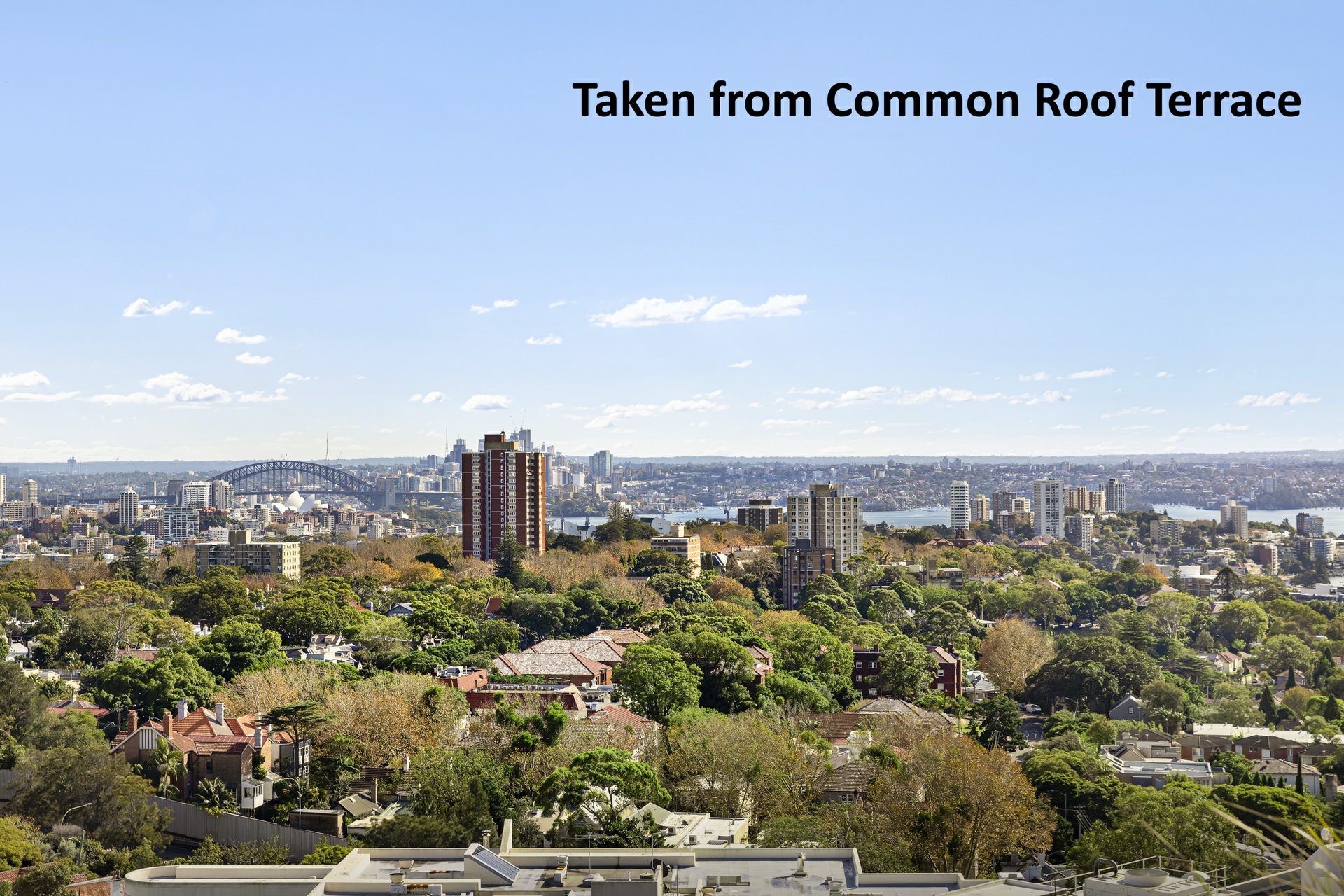 402/59 Oxford Street, BONDI JUNCTION