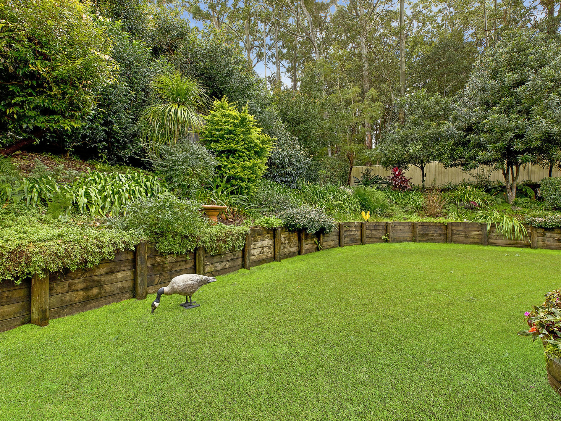 12 Dorchester Court, TERRIGAL