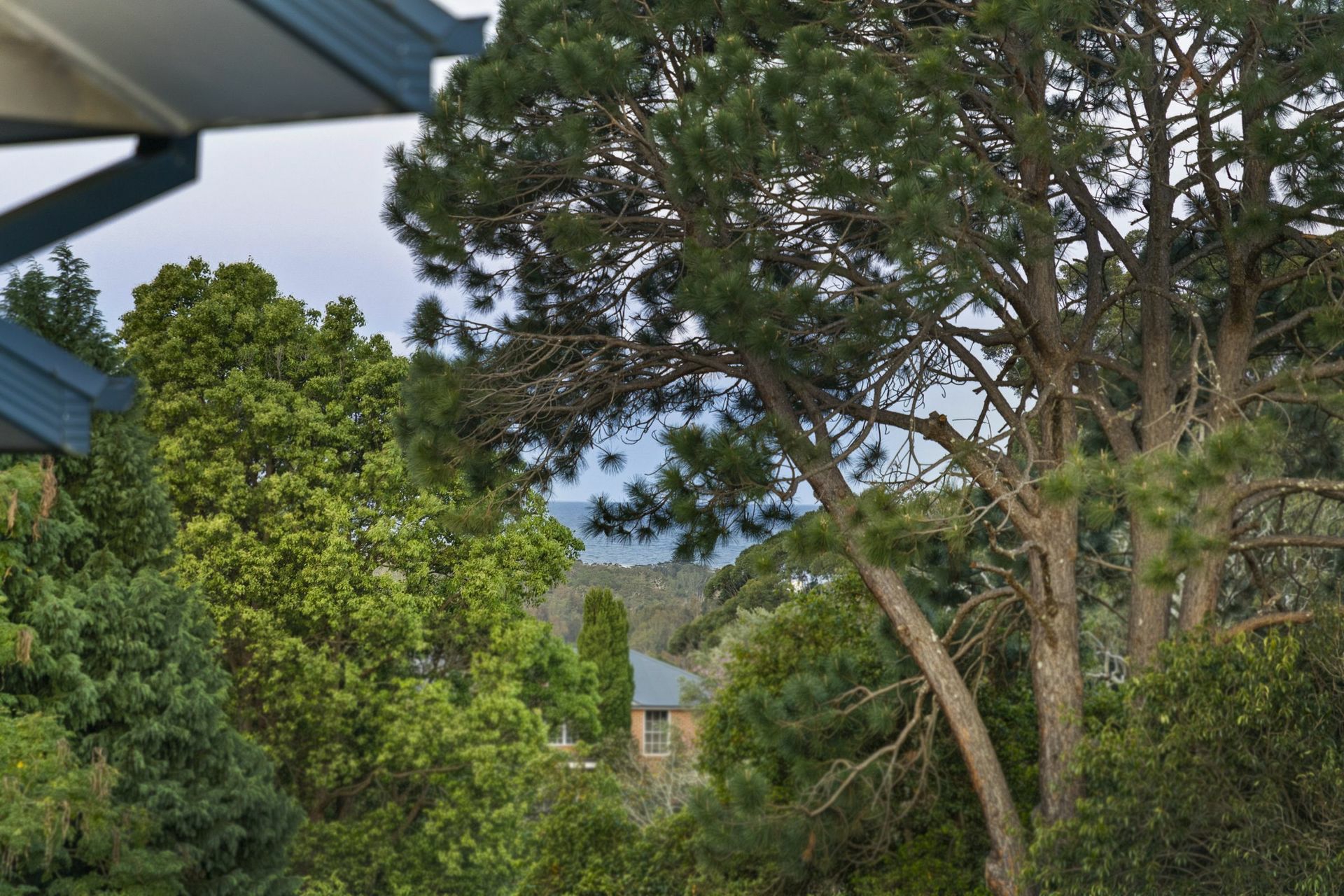 344 Scenic Highway, TERRIGAL