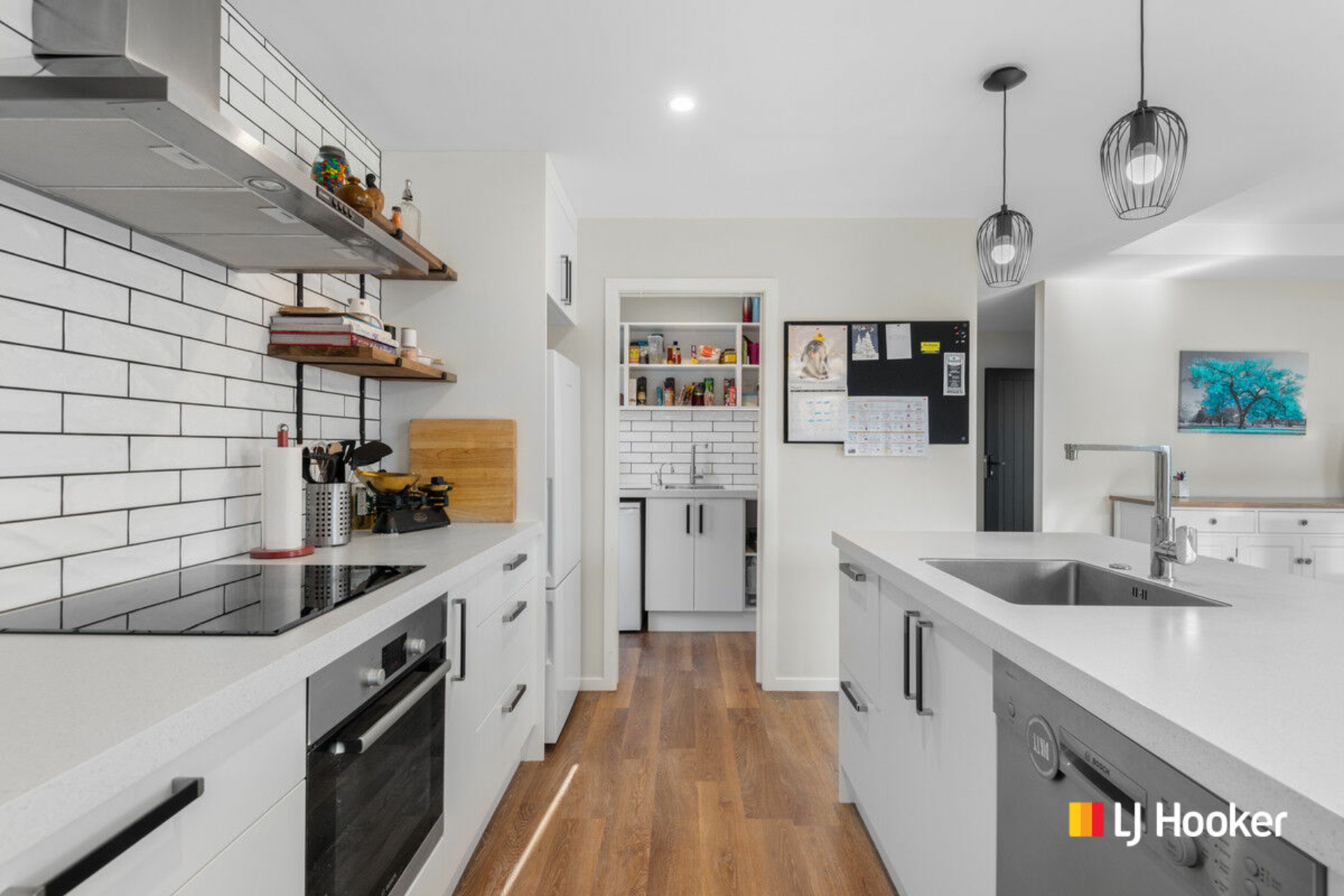 45 Silver Springs Boulevard, MOSGIEL