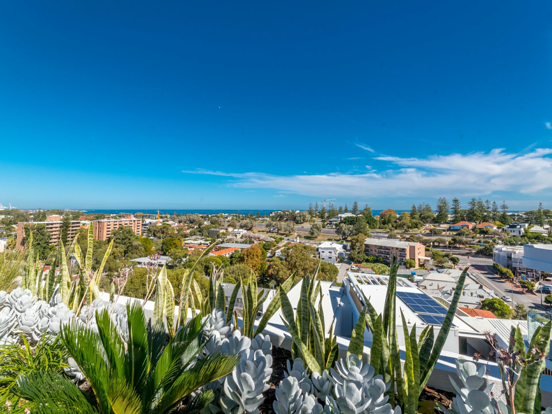 107/42 Glyde Street, MOSMAN PARK