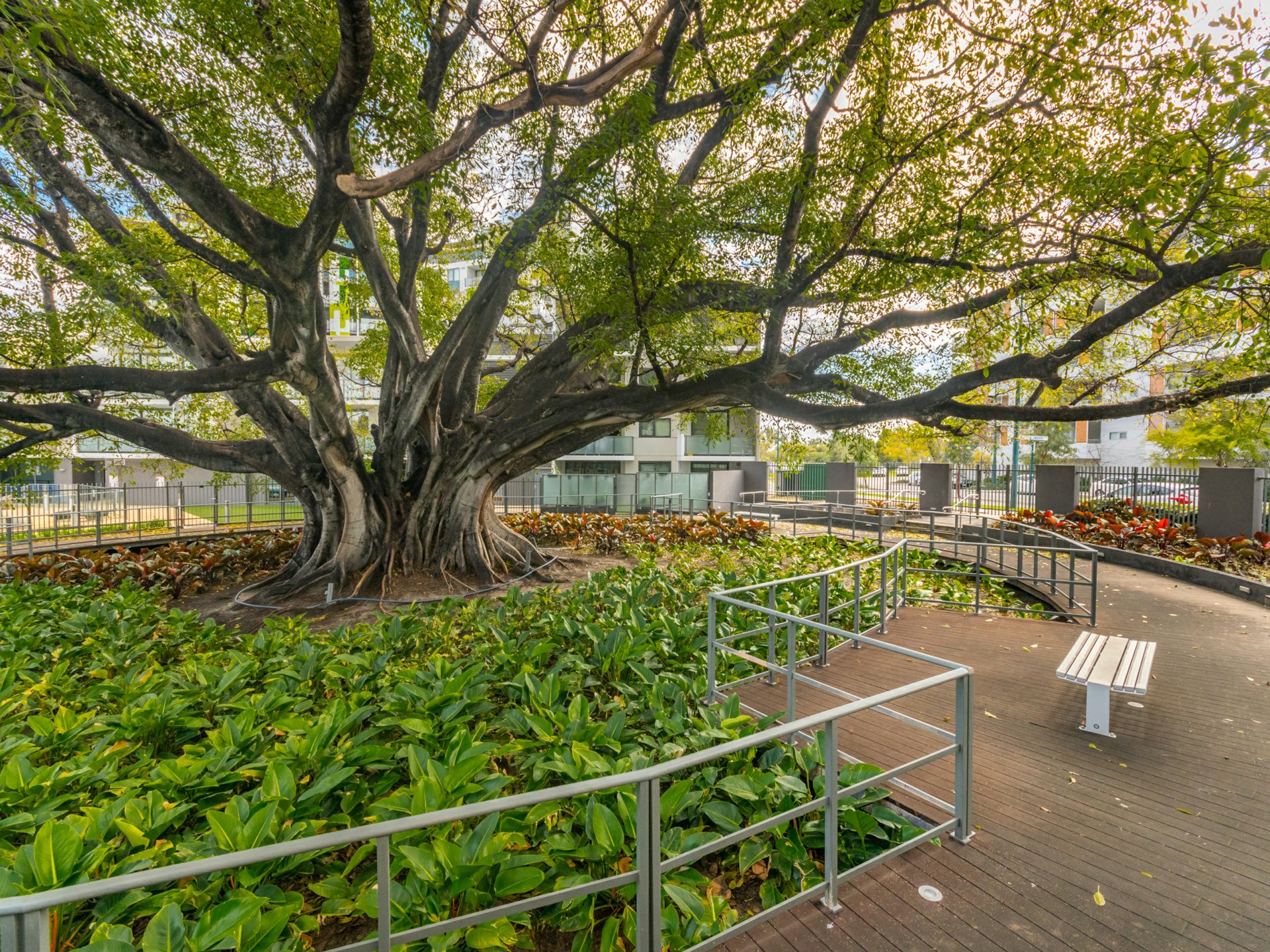 Level 8/98-5 Rowe Avenue, RIVERVALE