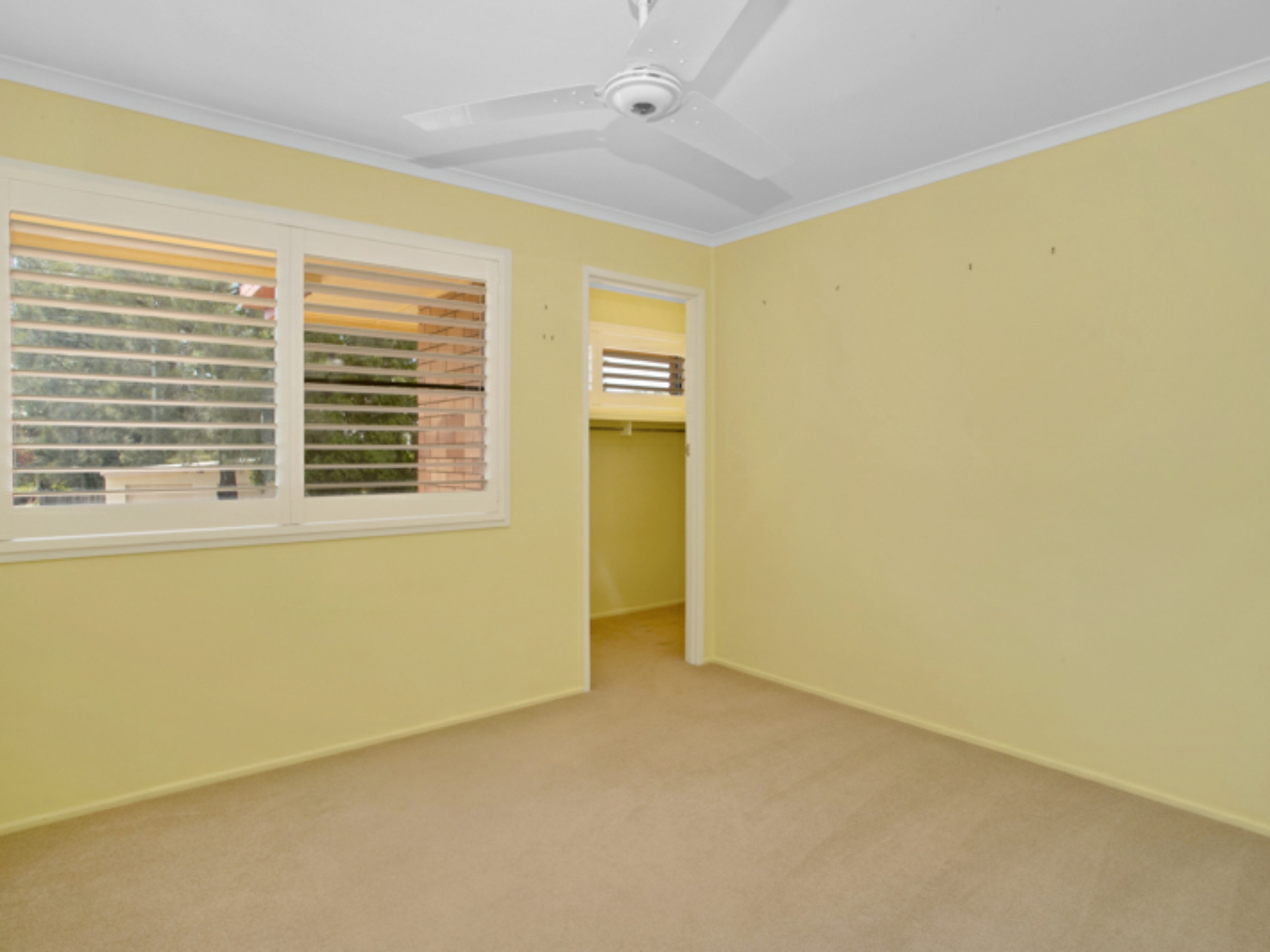 11 Andrew Milne Drive, MOUNT PLEASANT
