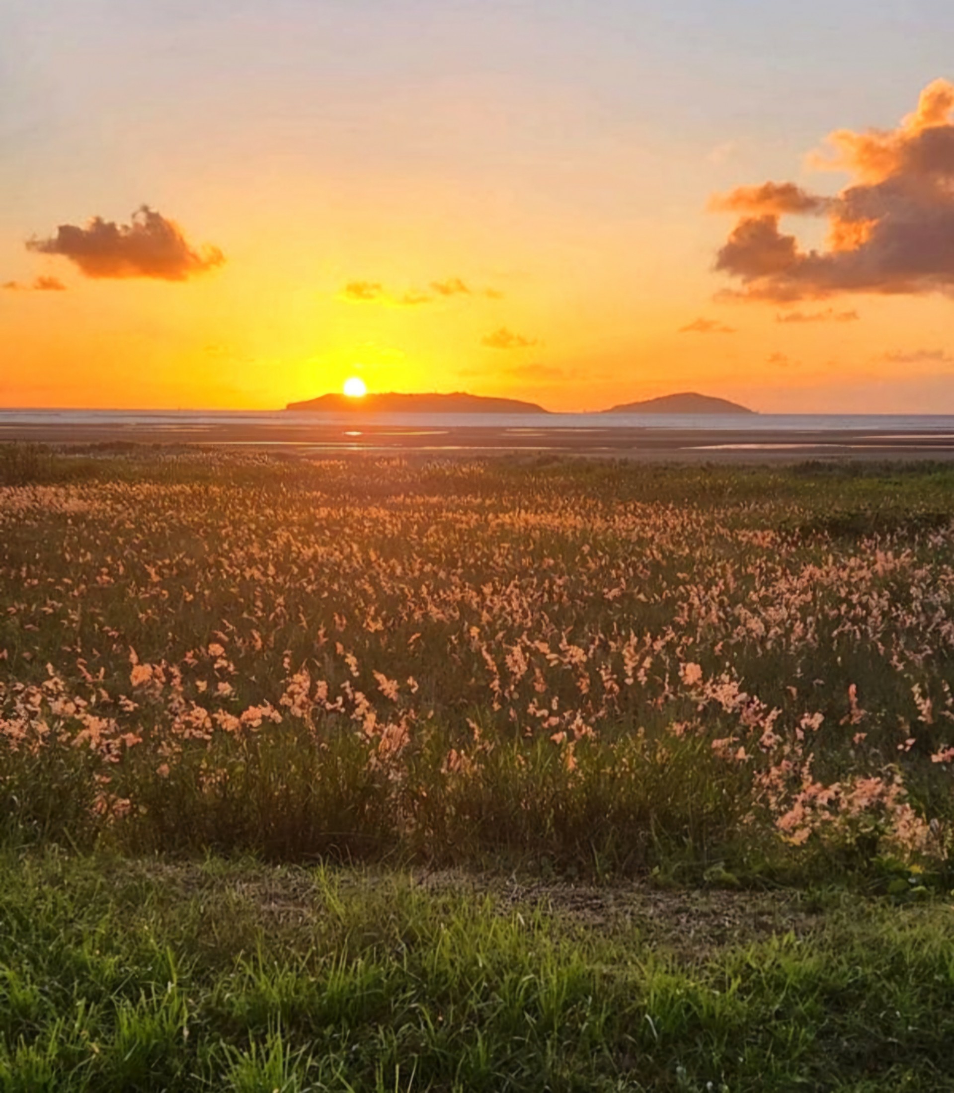 24a Binnington Esplanade, EAST MACKAY