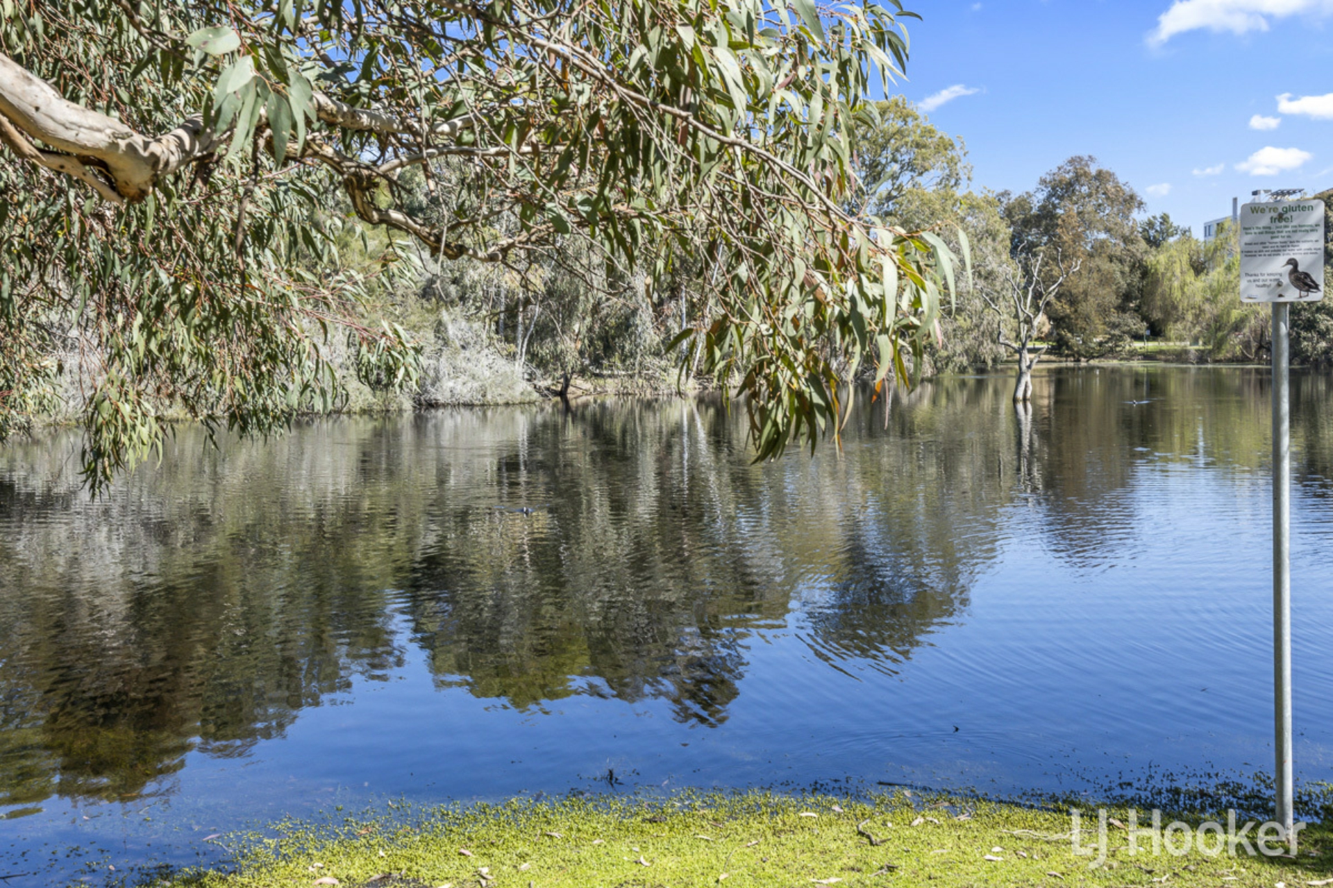 41A Axford Street, COMO