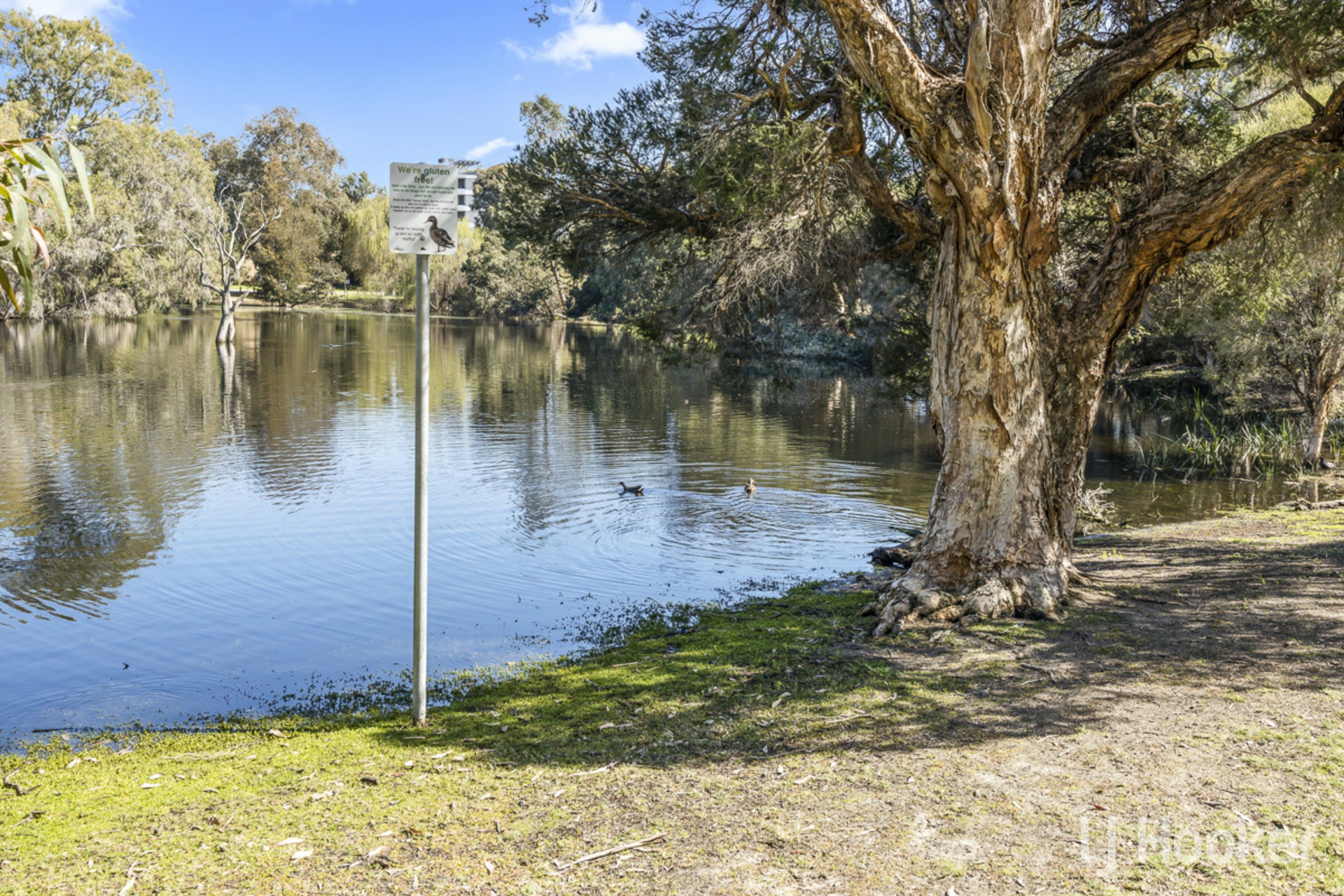 41A Axford Street, COMO
