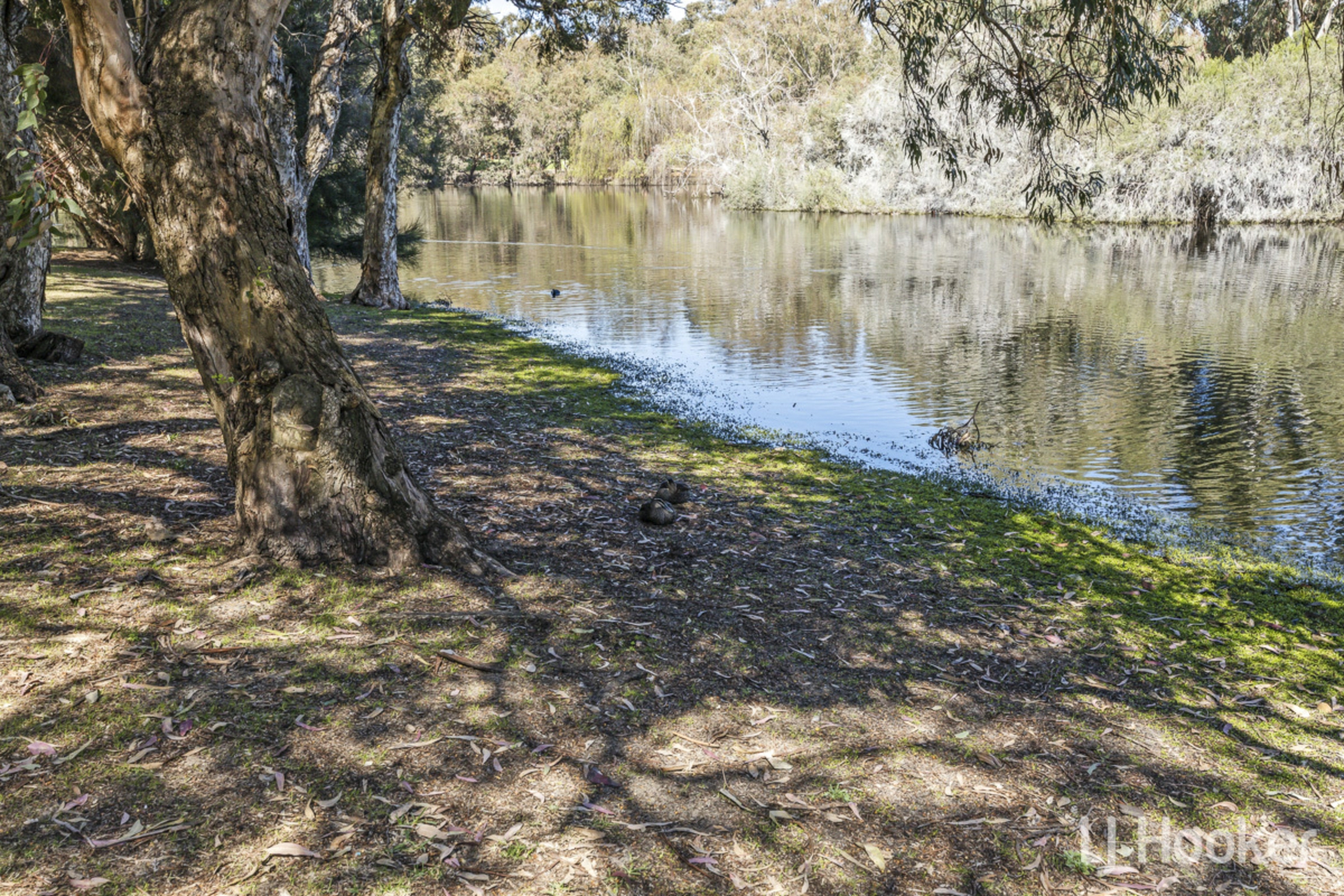 41A Axford Street, COMO