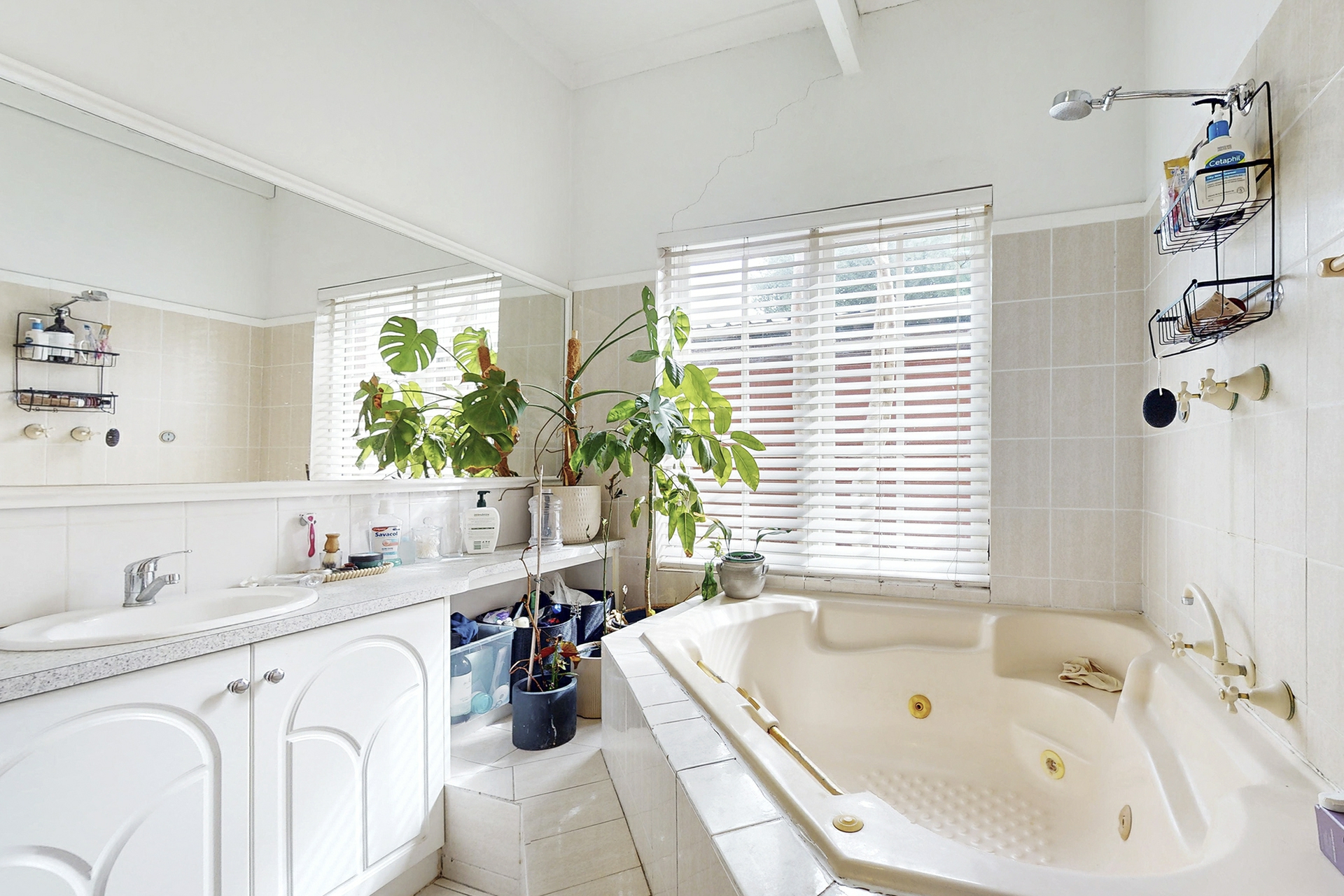 455 Beaufort Street, HIGHGATE