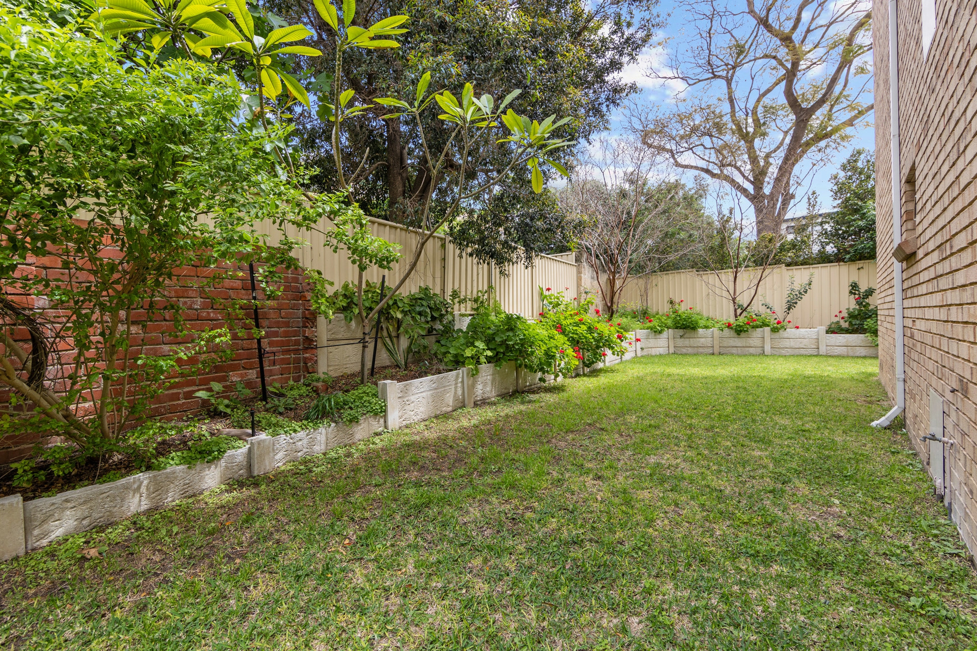 11/7 Vincent Street, Mount Lawley
