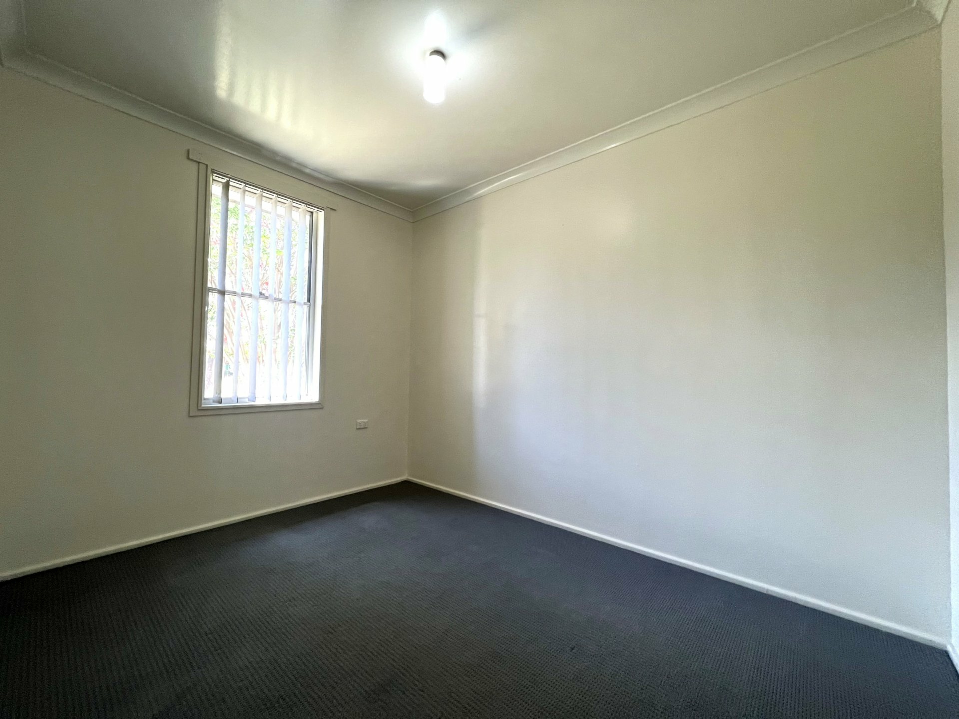 57 Buchan Avenue, SINGLETON