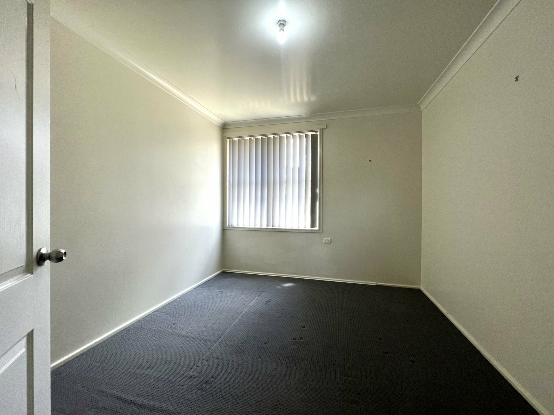 57 Buchan Avenue, SINGLETON