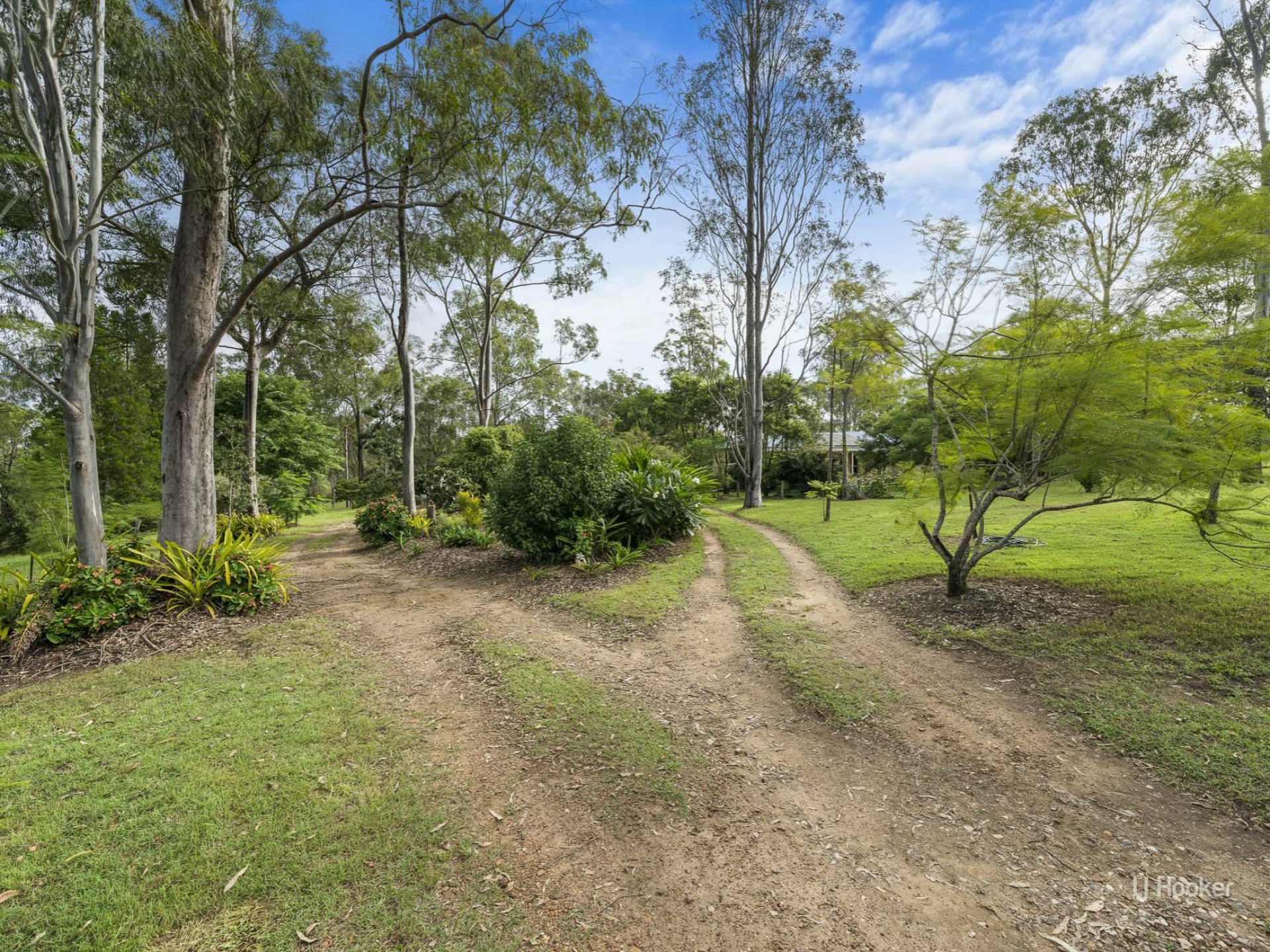 17 Windsor Drive, MOUNT HALLEN