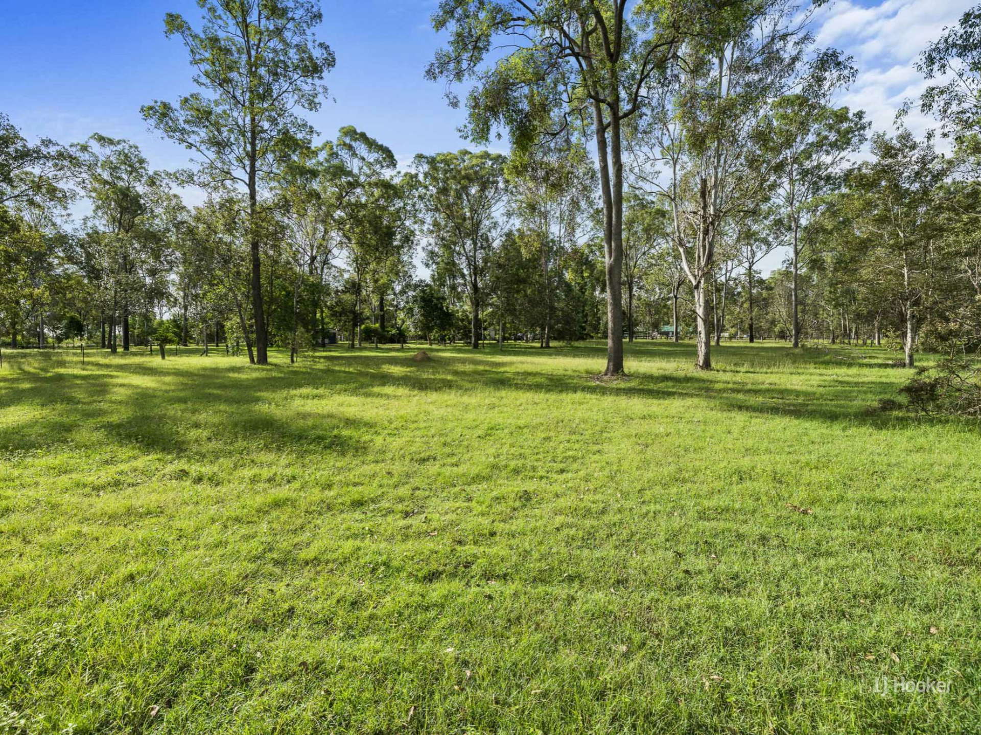 17 Windsor Drive, MOUNT HALLEN