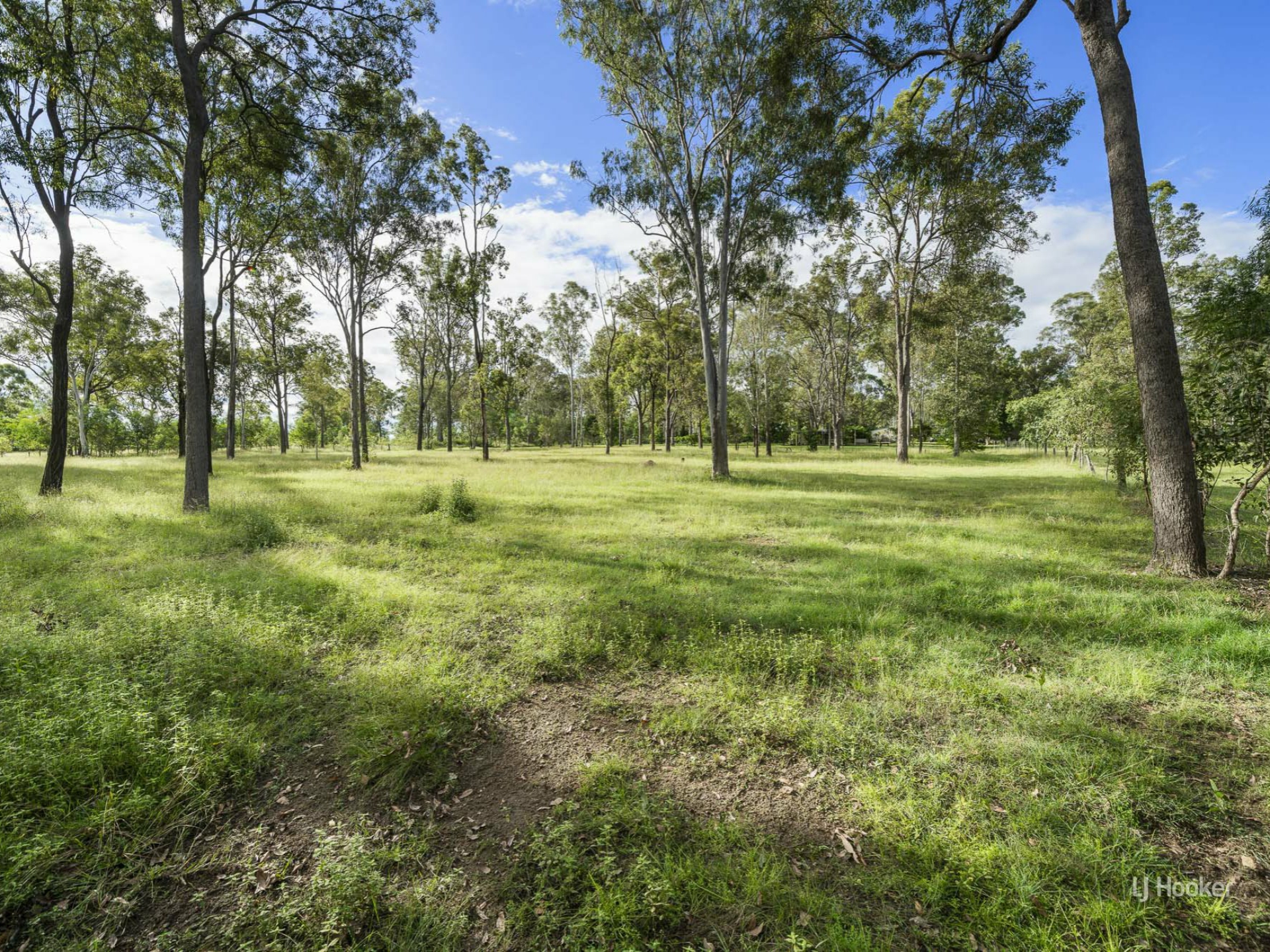 17 Windsor Drive, MOUNT HALLEN