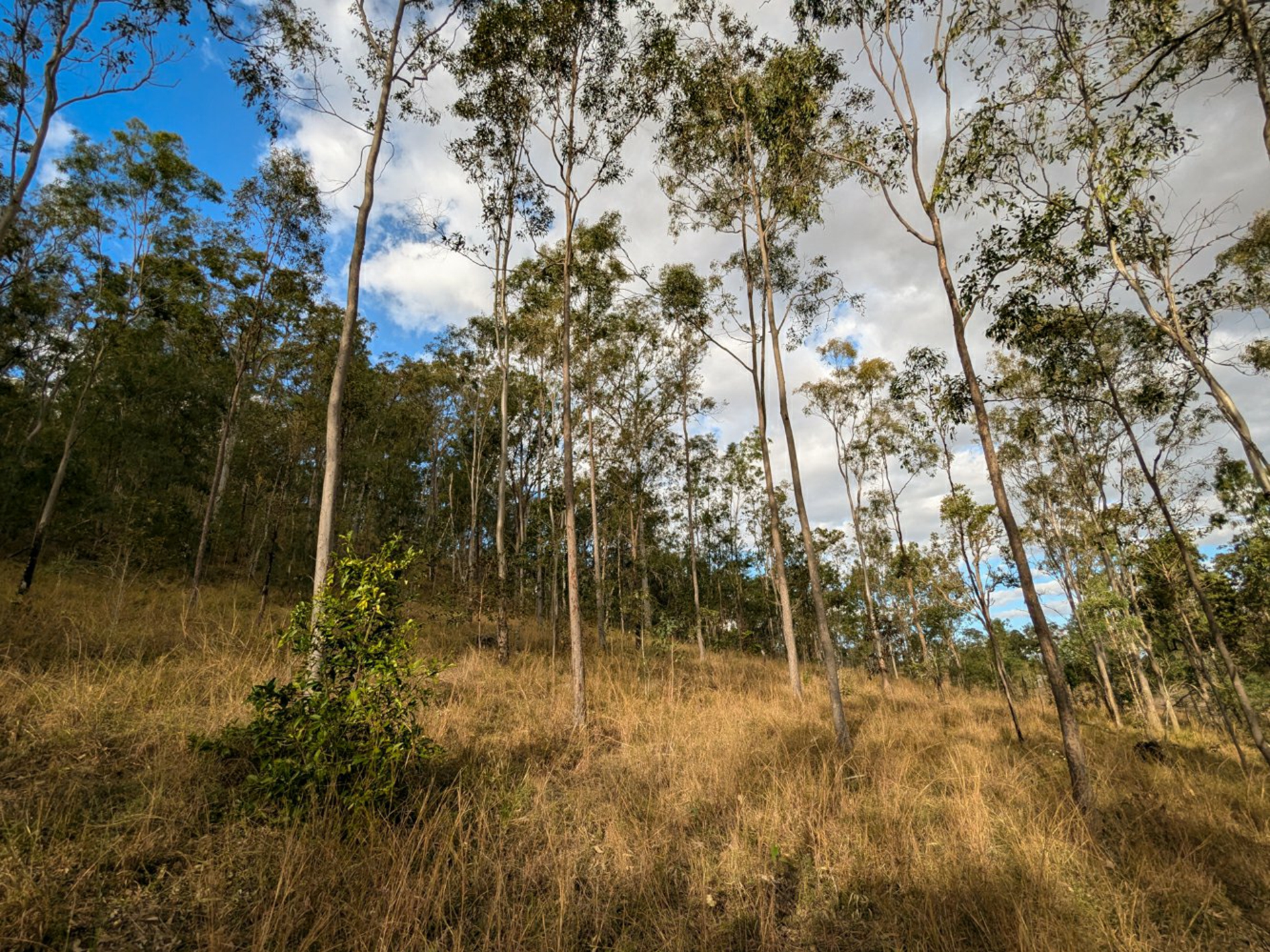3772 Gatton Esk Road, ESK