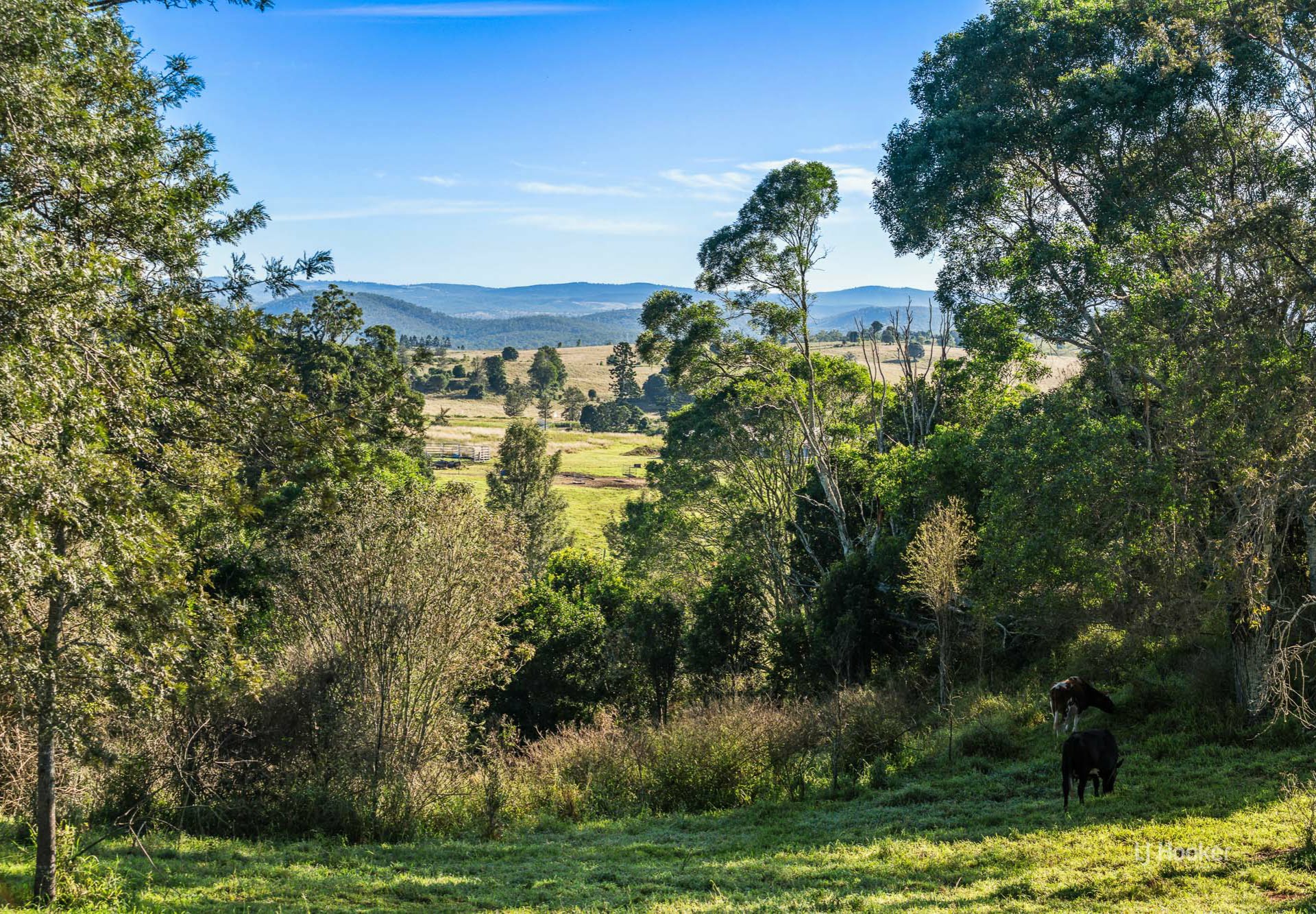 84 Nukku - Mt Binga Road, GILLA