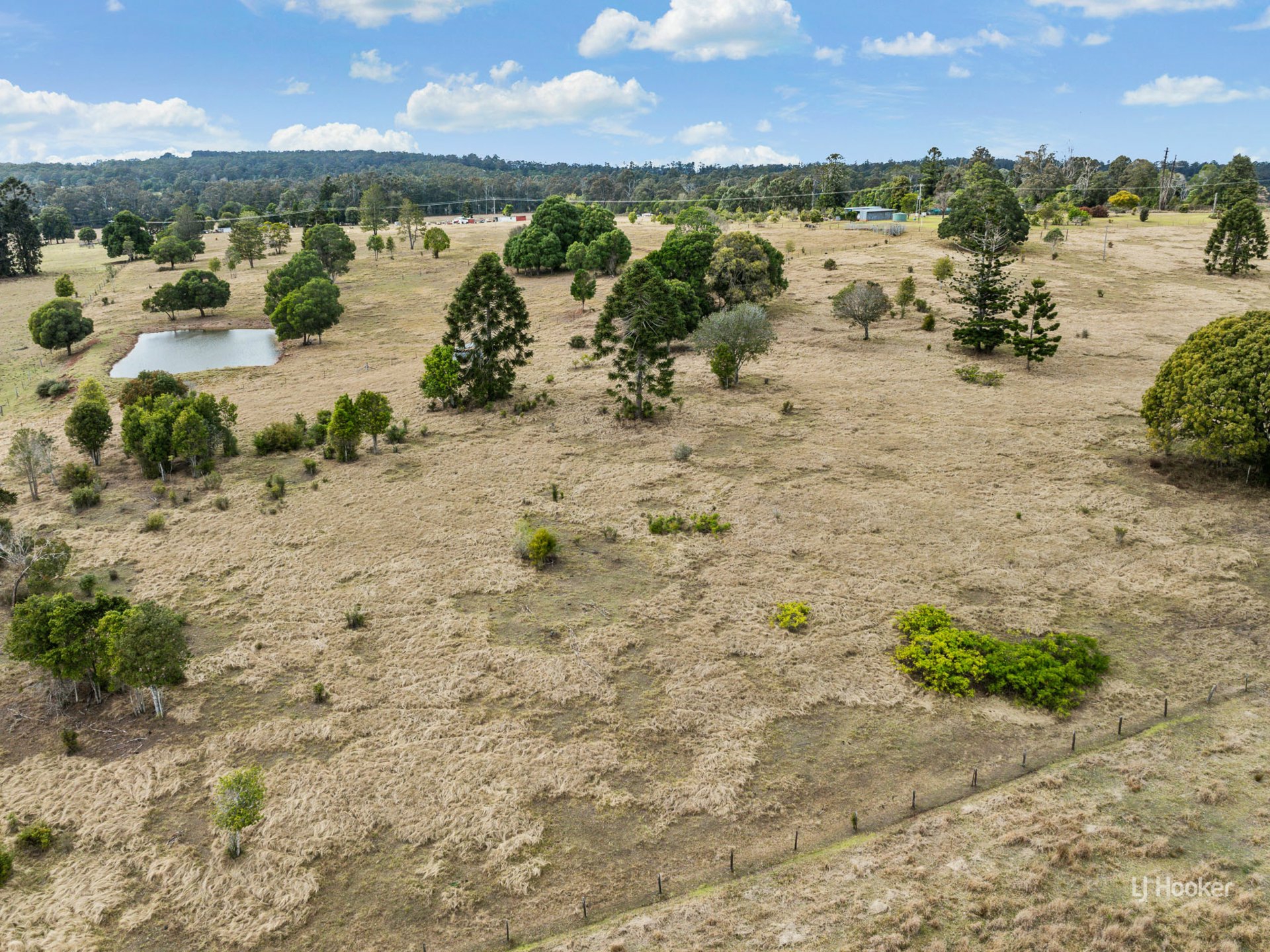 251 Haynes Kite Millar Road — photo 5 of 21