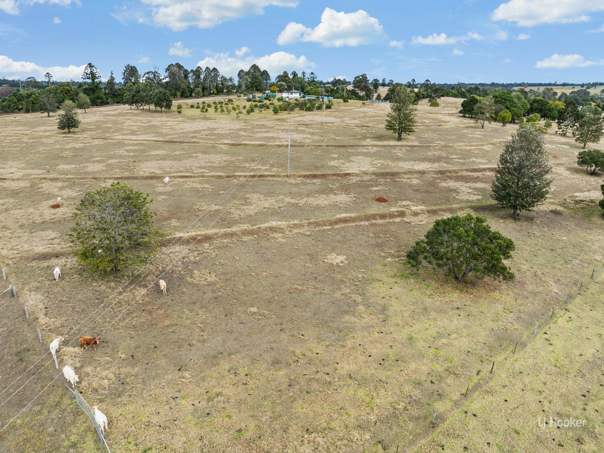 251 Haynes Kite Millar Road — photo 7 of 21