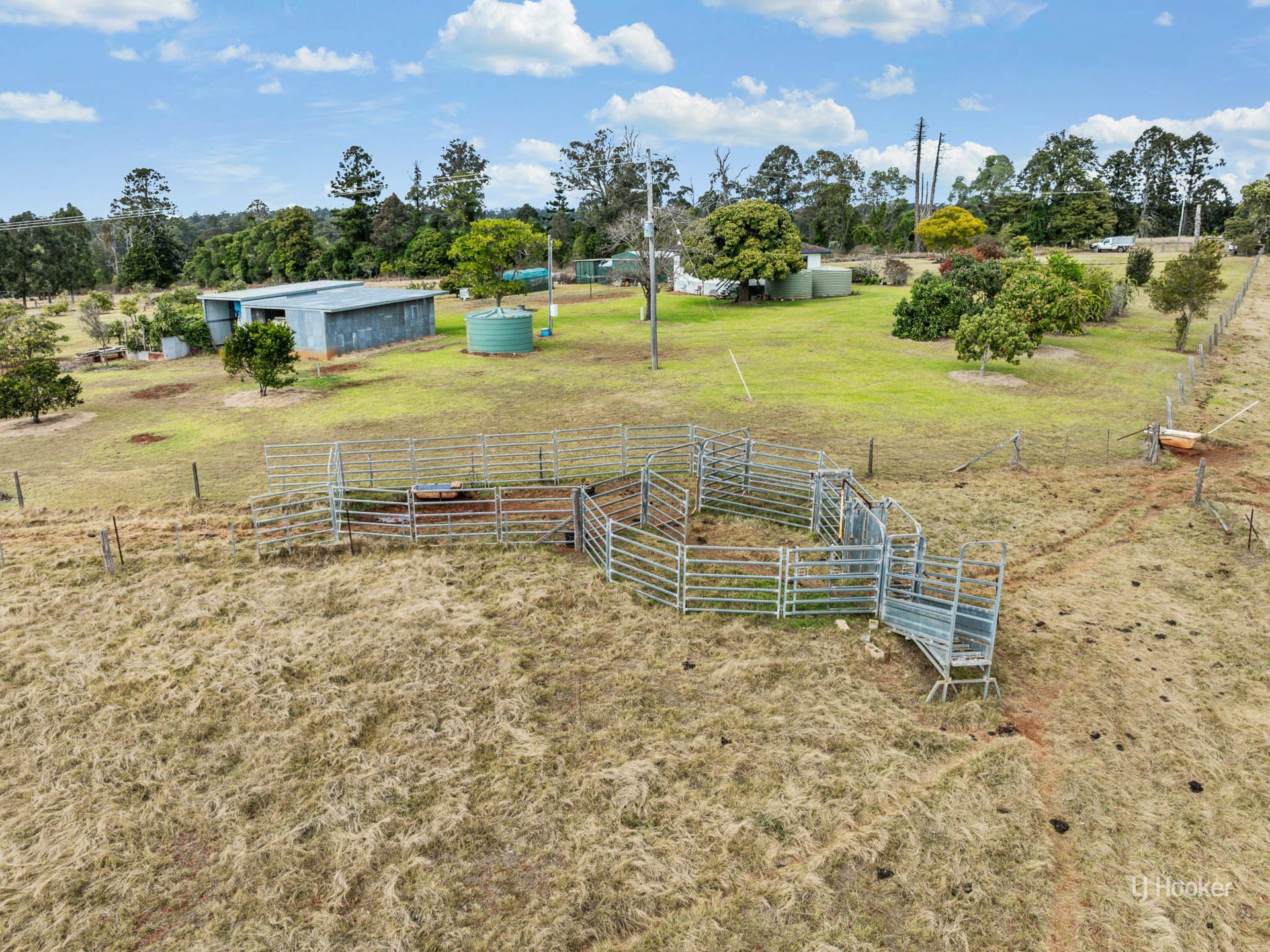 251 Haynes Kite Millar Road — photo 8 of 21