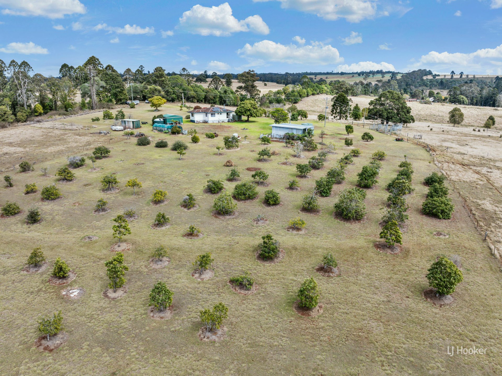 251 Haynes Kite Millar Road — photo 9 of 21