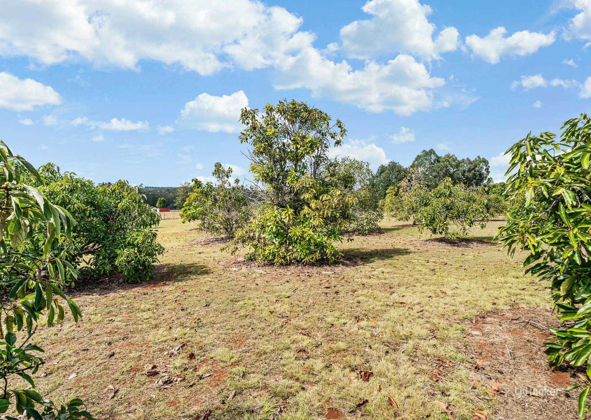 251 Haynes Kite Millar Road — photo 19 of 21