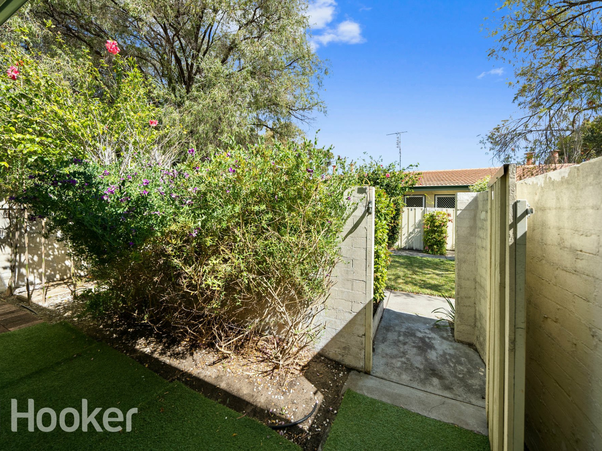 8/50 Waterloo Street, JOONDANNA