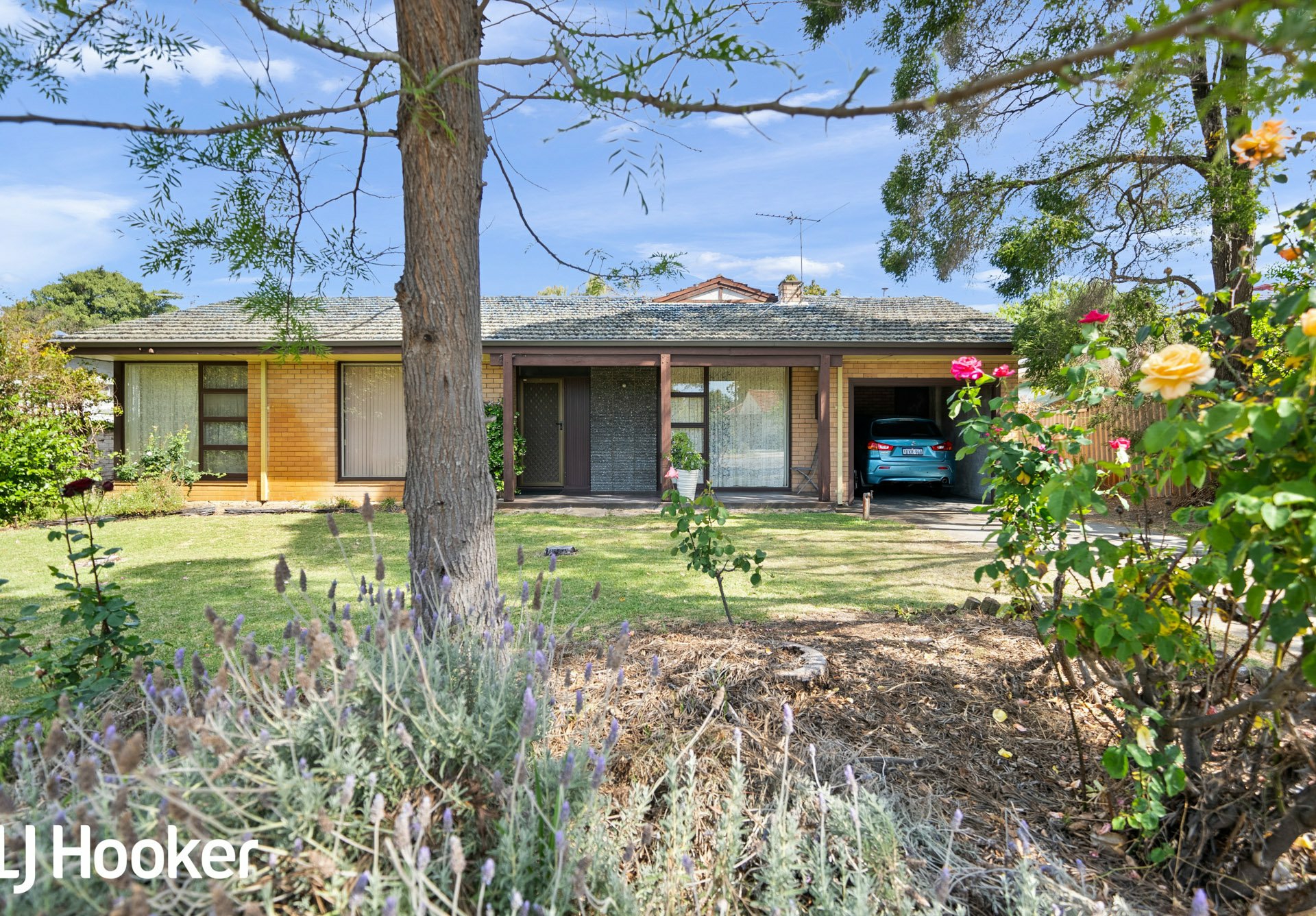 69 Wilber Street Rossmoyne WA Property Details LJ Hooker